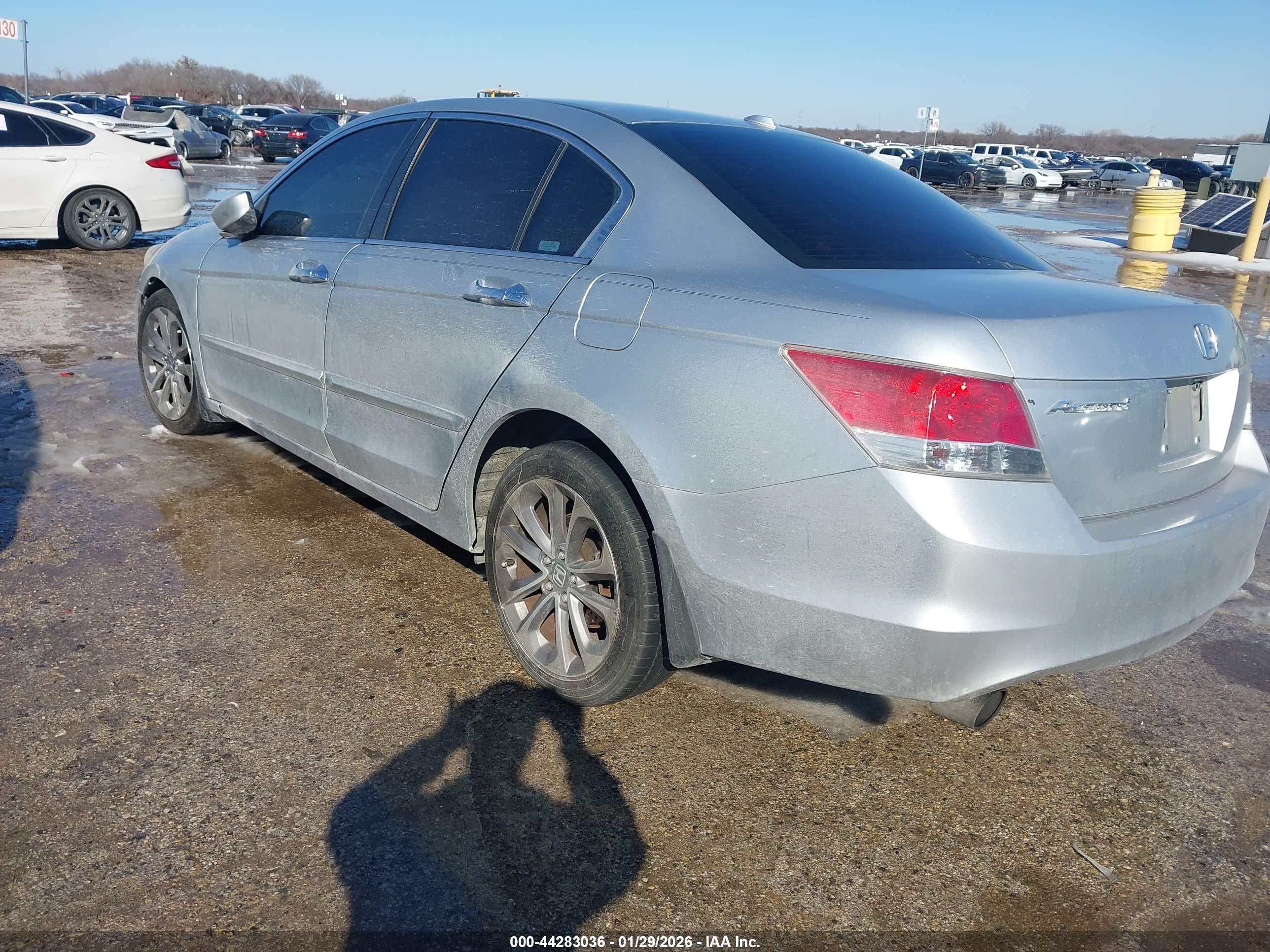 HONDA ACCORD image 3