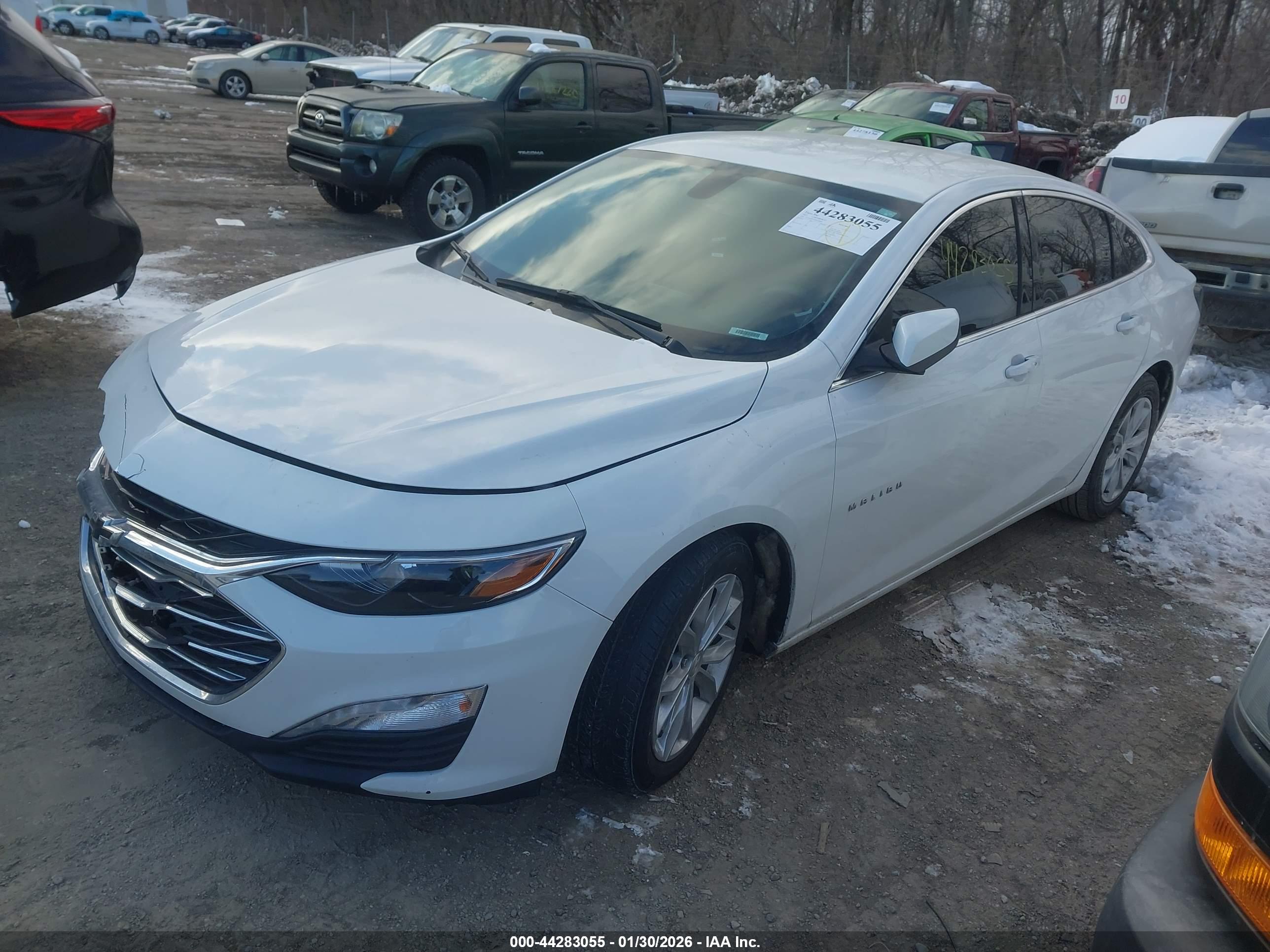 CHEVROLET MALIBU image 2