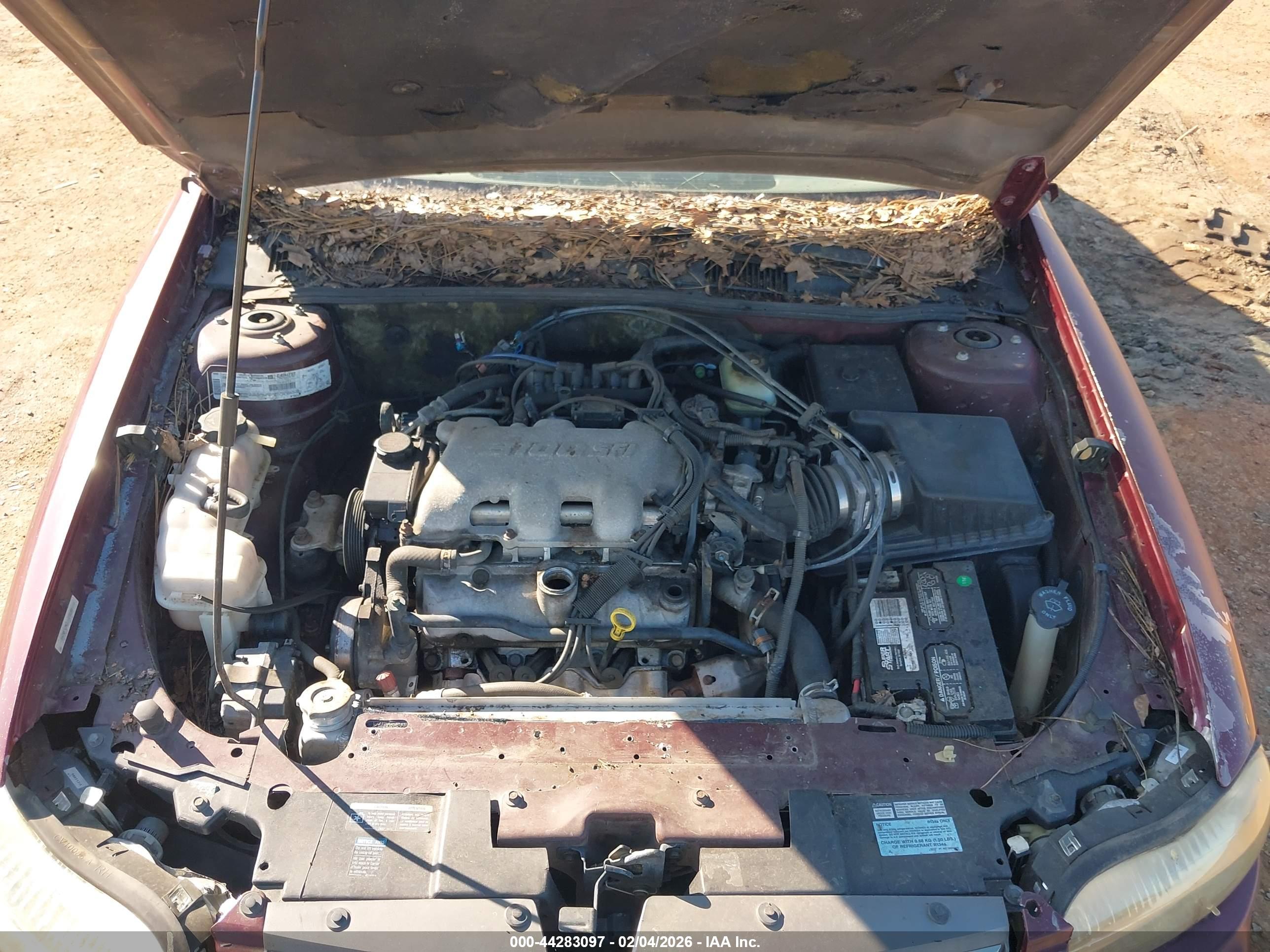 CHEVROLET MALIBU image 10