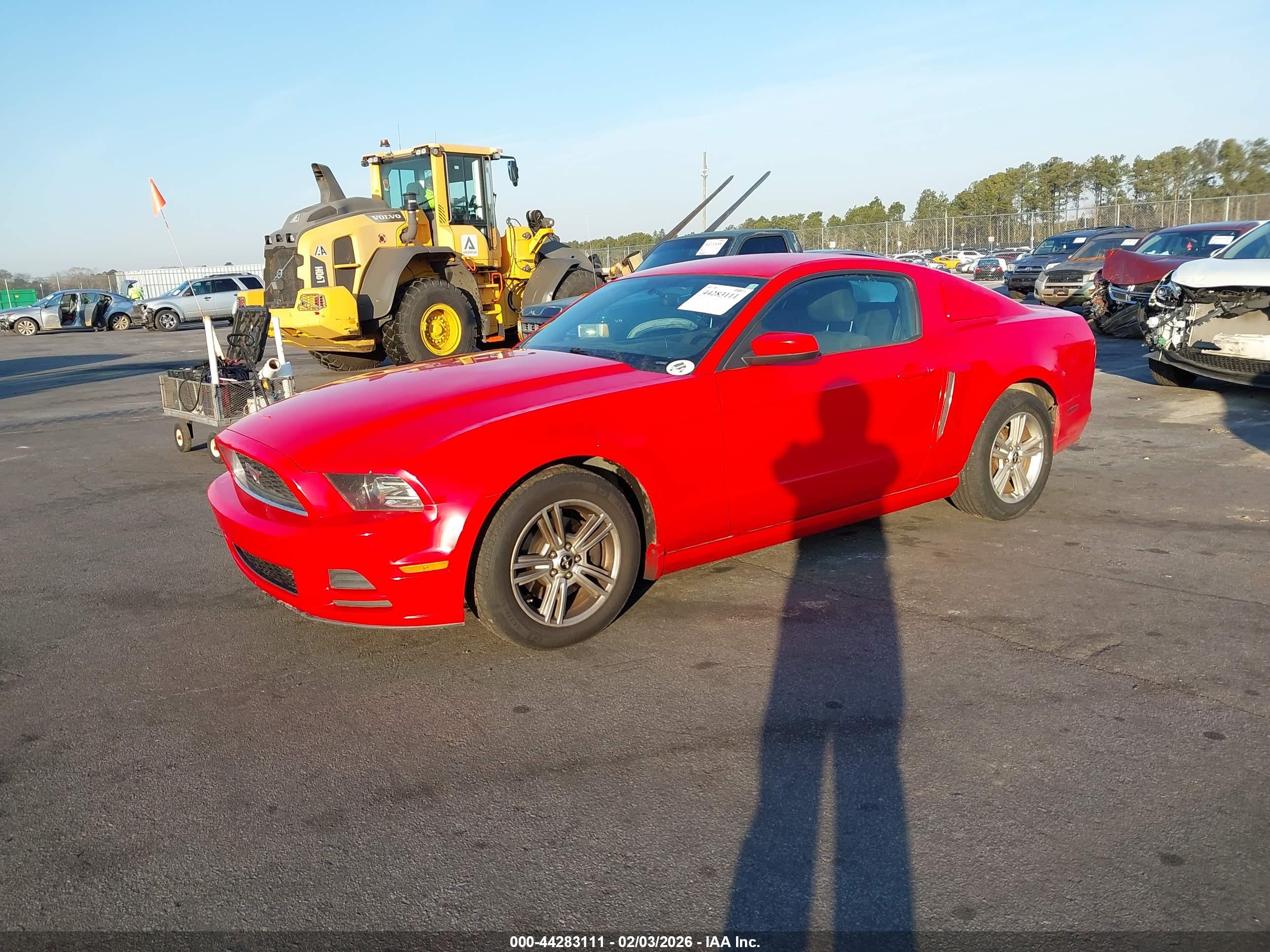 FORD MUSTANG image 2