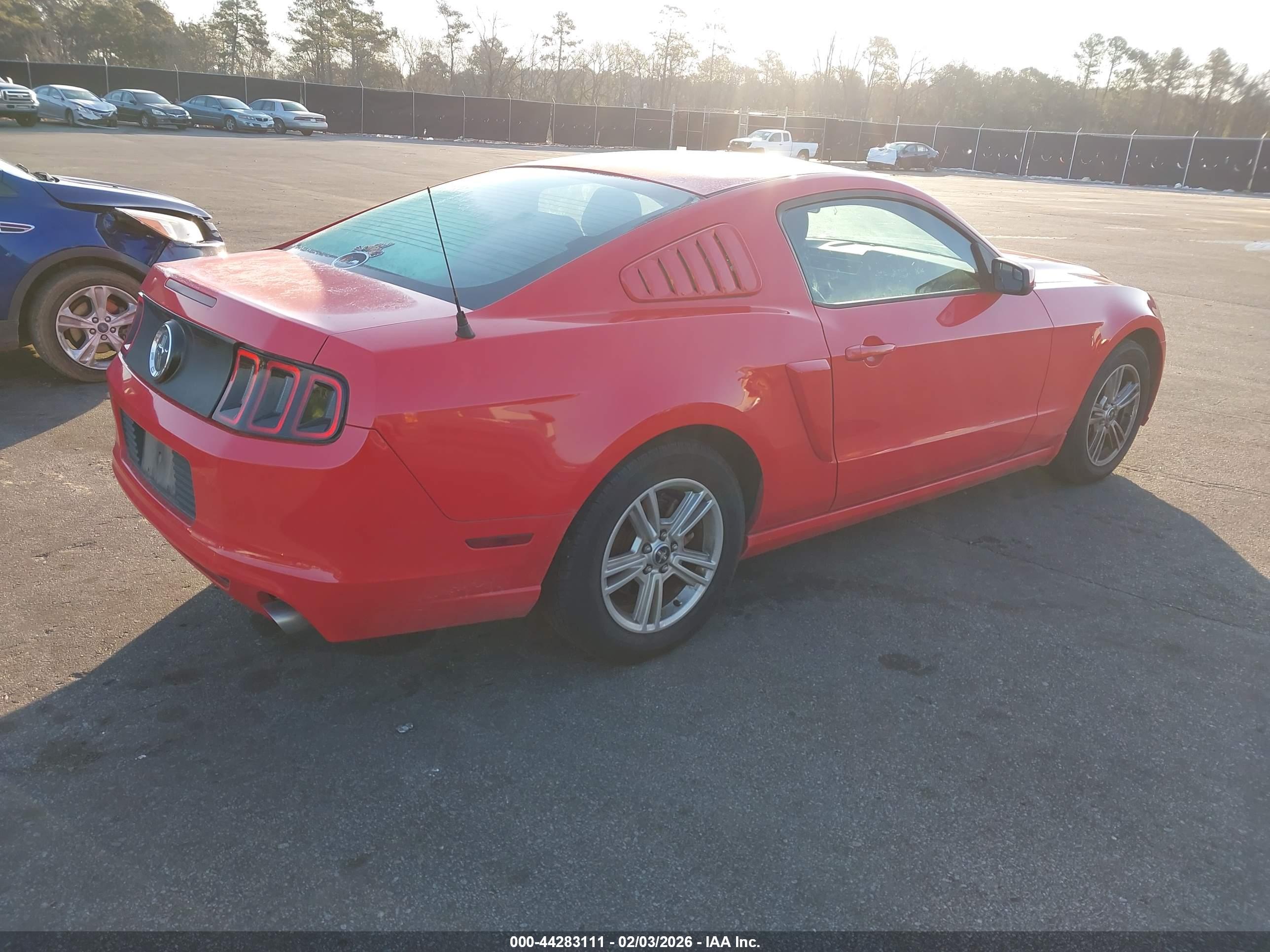 FORD MUSTANG image 4
