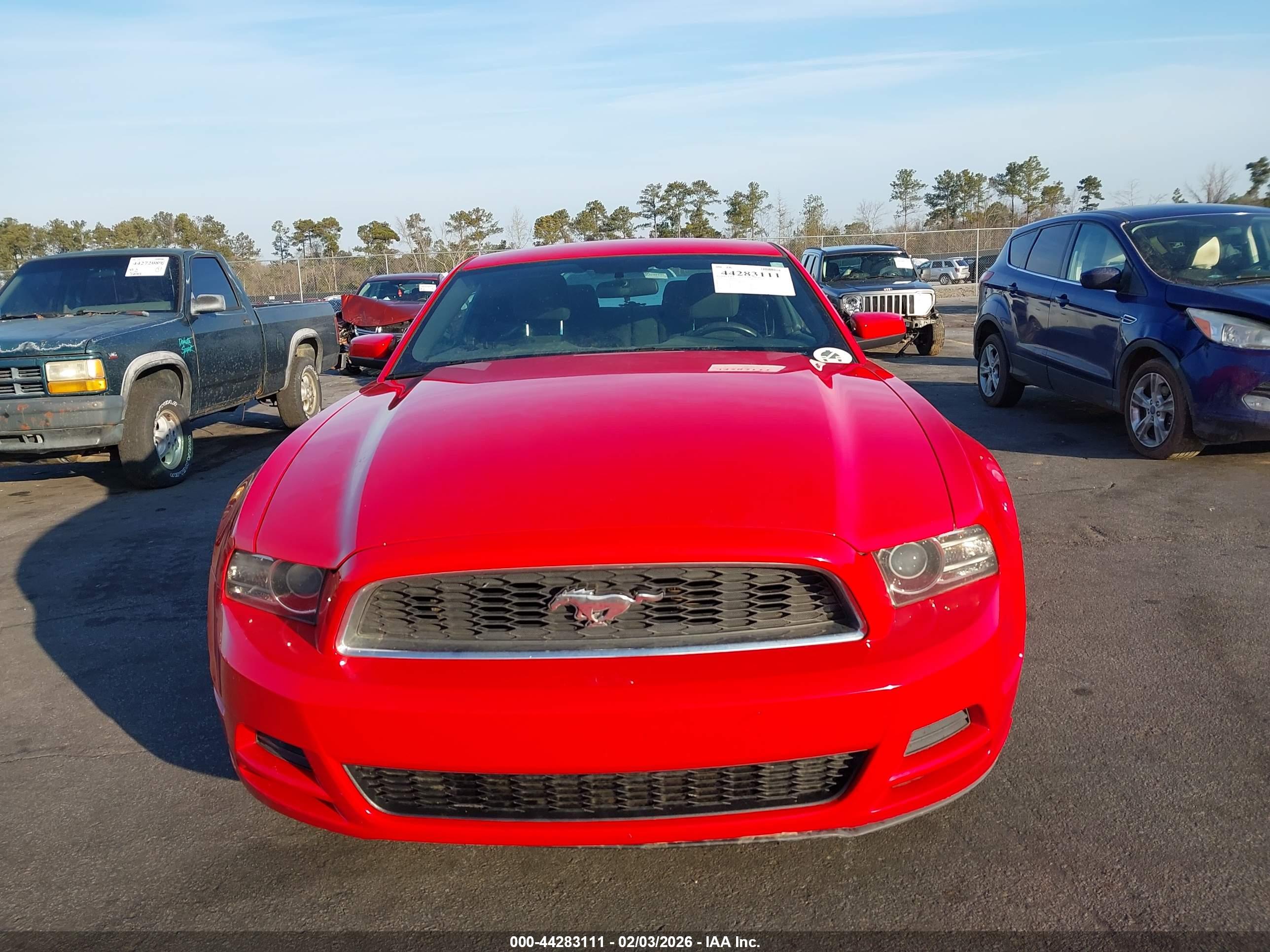 FORD MUSTANG image 6