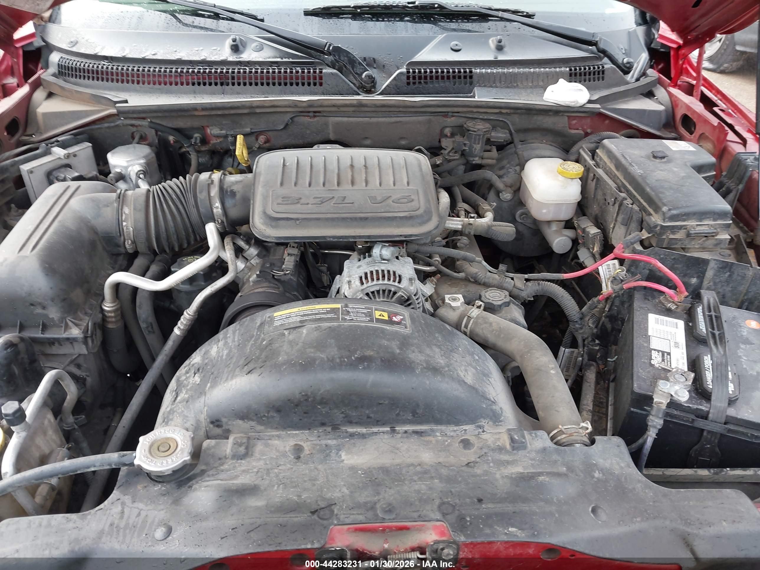 MITSUBISHI RAIDER image 10