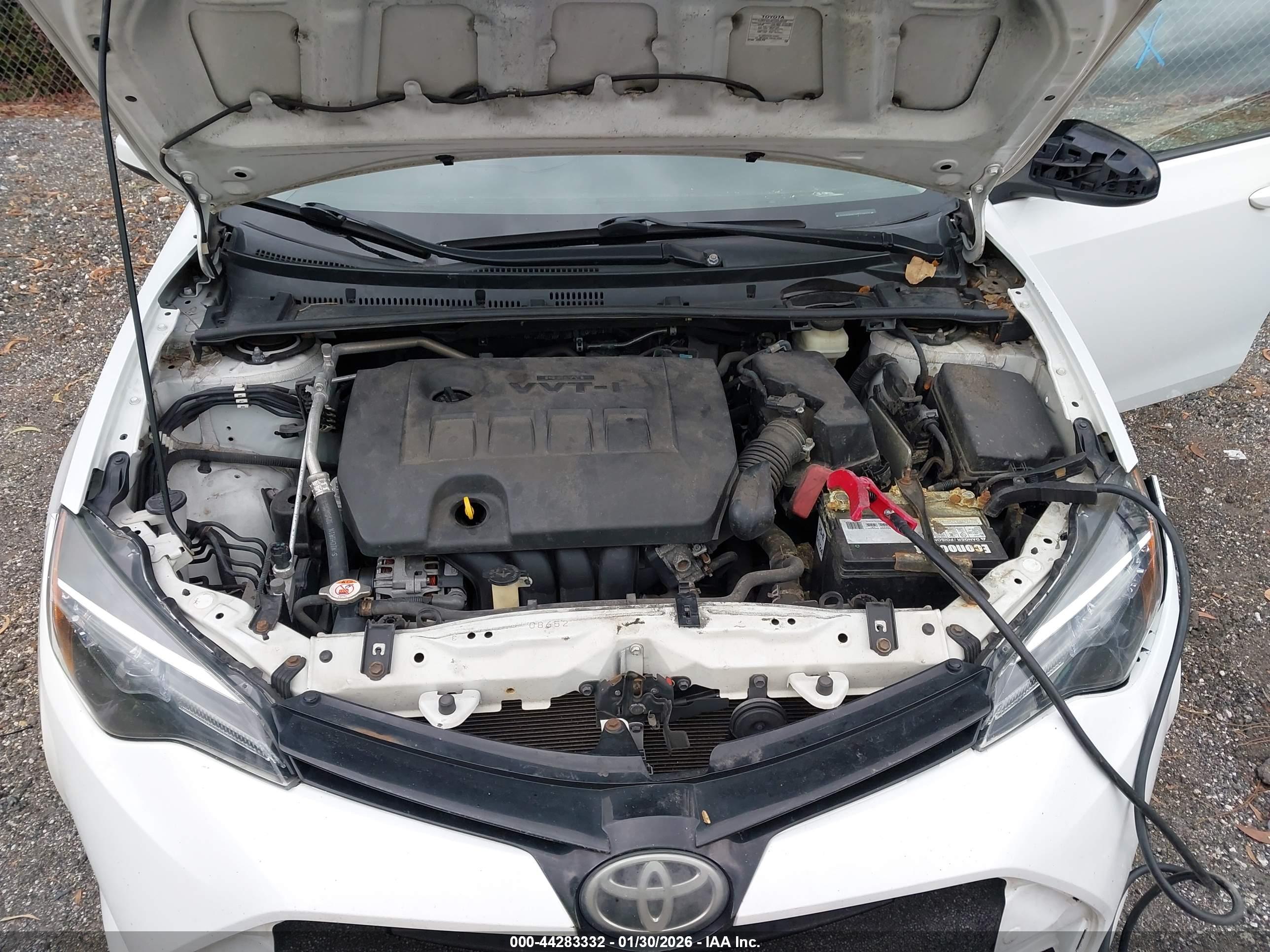 TOYOTA COROLLA image 10