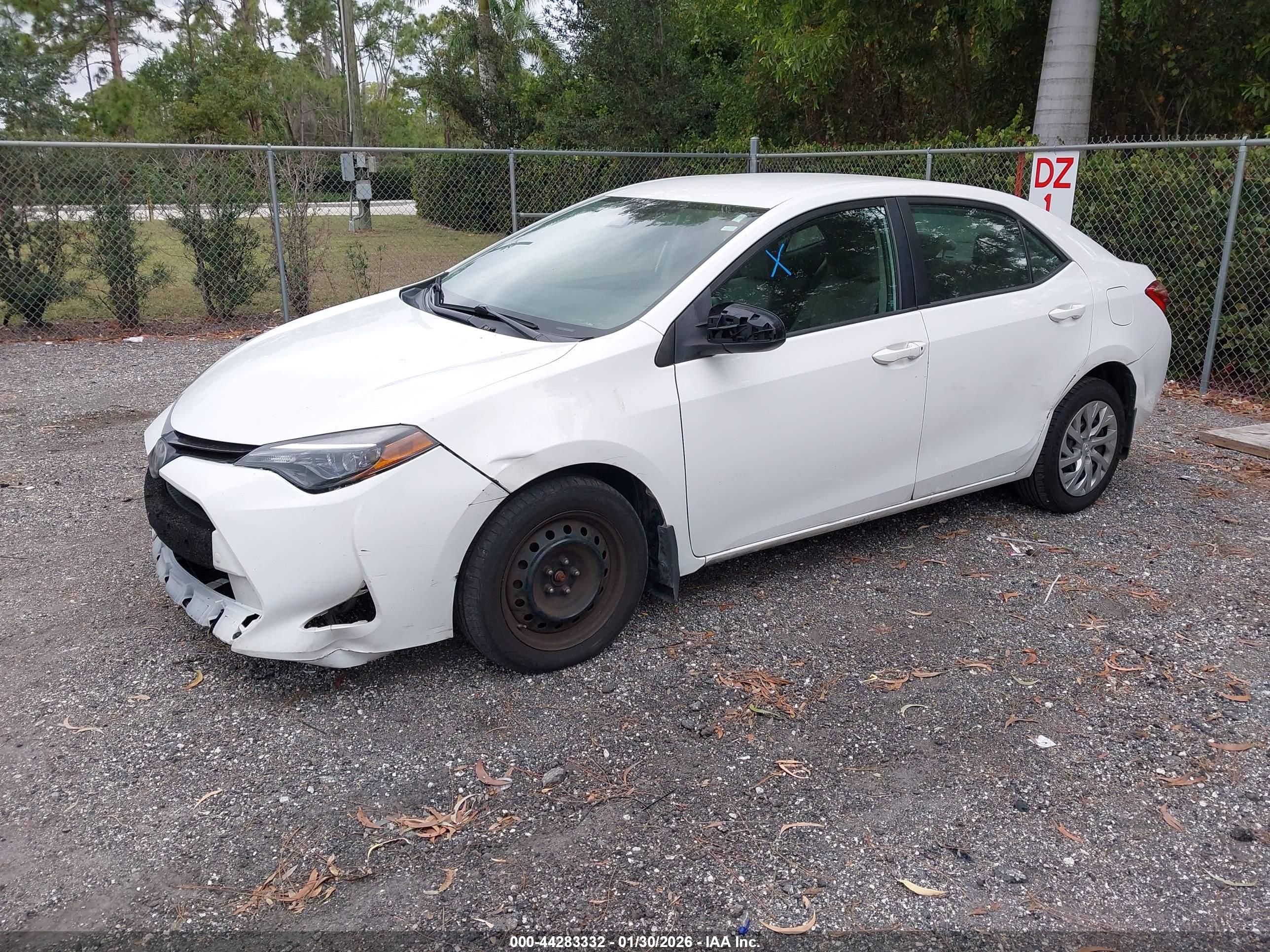 TOYOTA COROLLA image 2