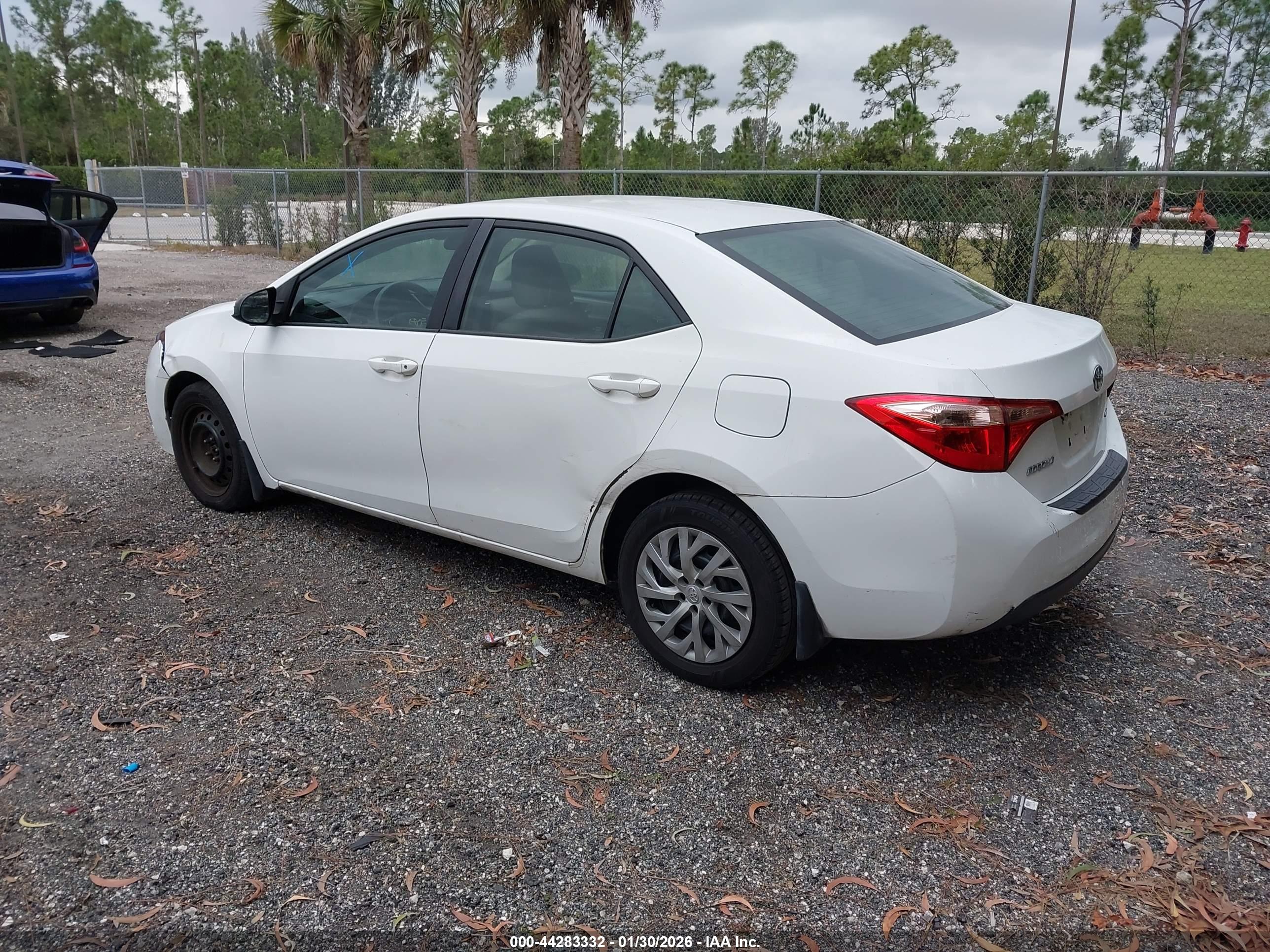 TOYOTA COROLLA image 3