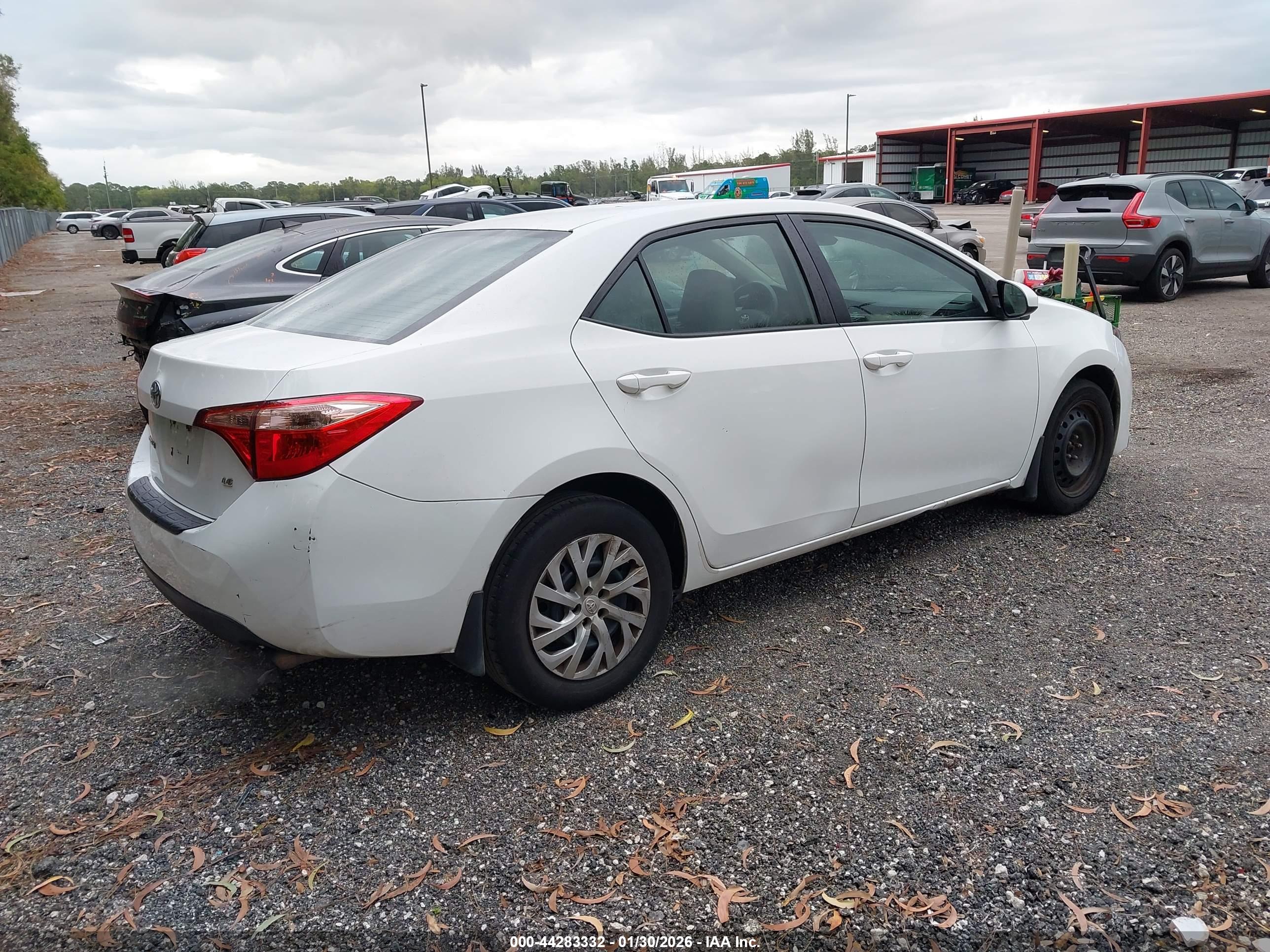 TOYOTA COROLLA image 4
