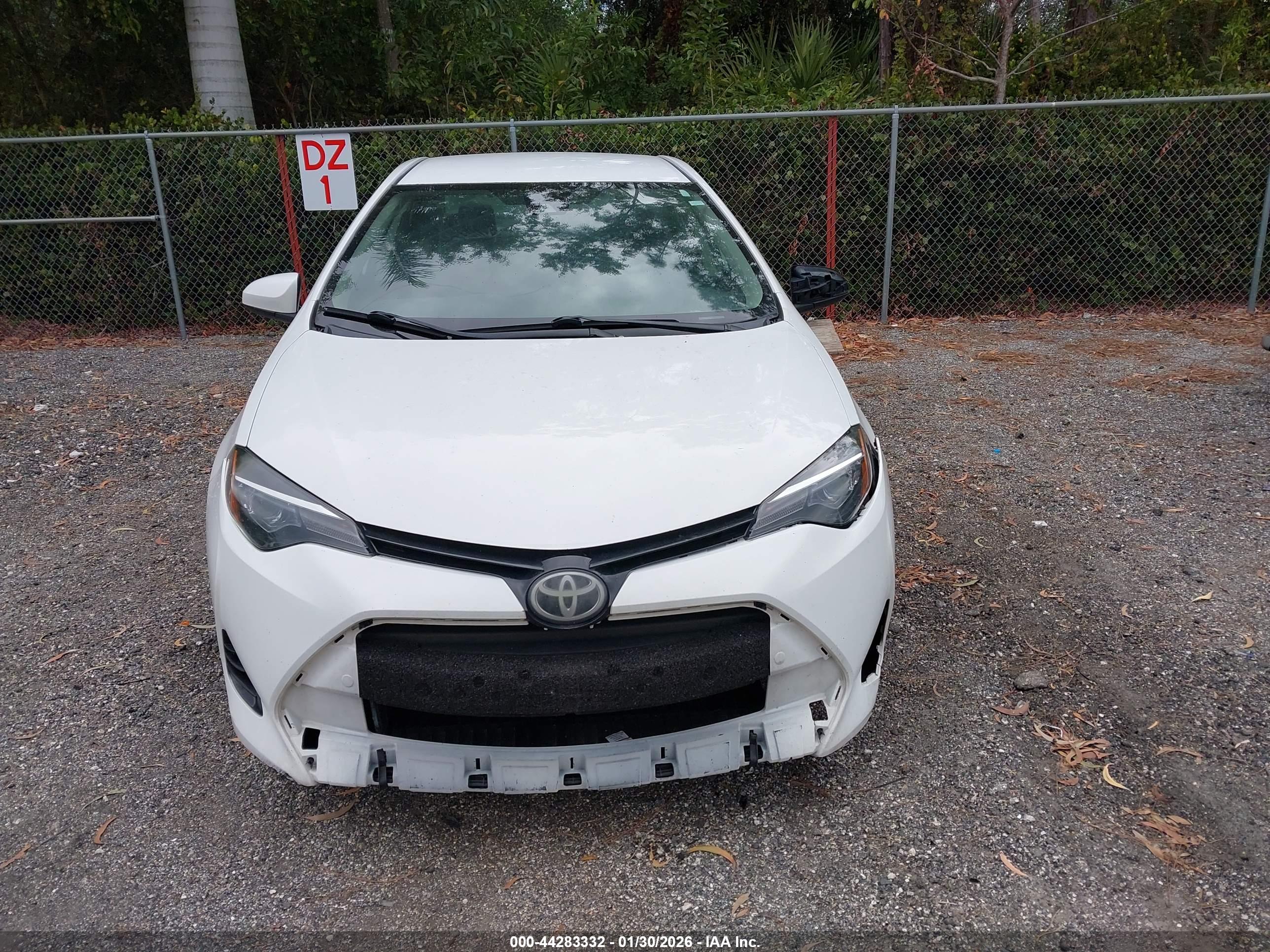 TOYOTA COROLLA image 6