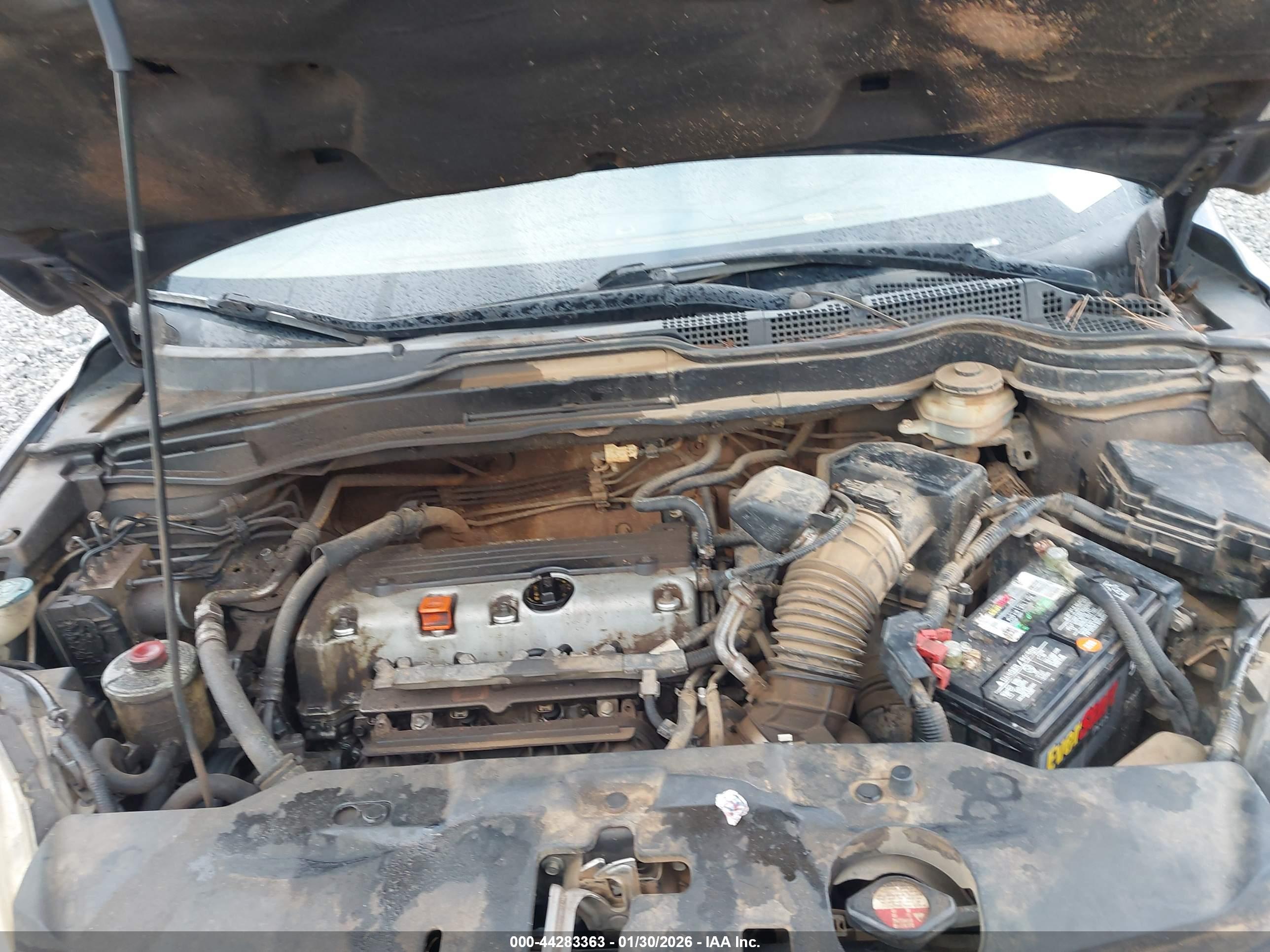HONDA CR-V image 10
