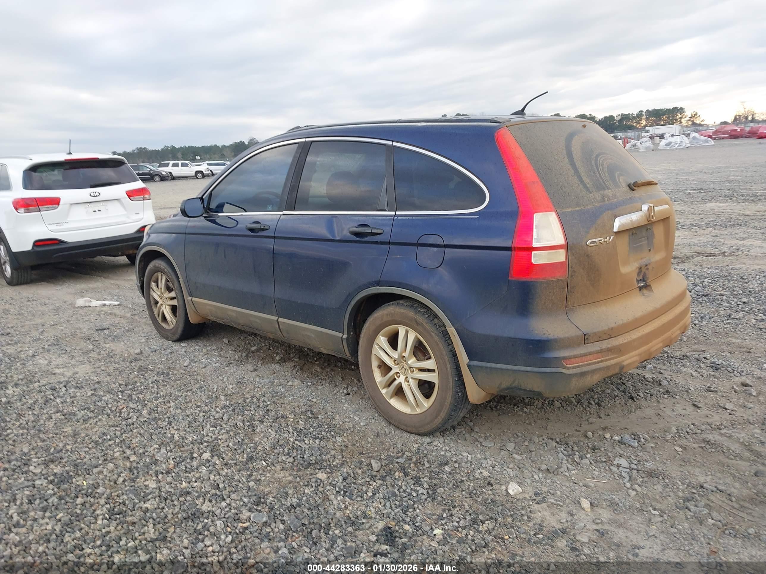 HONDA CR-V image 3