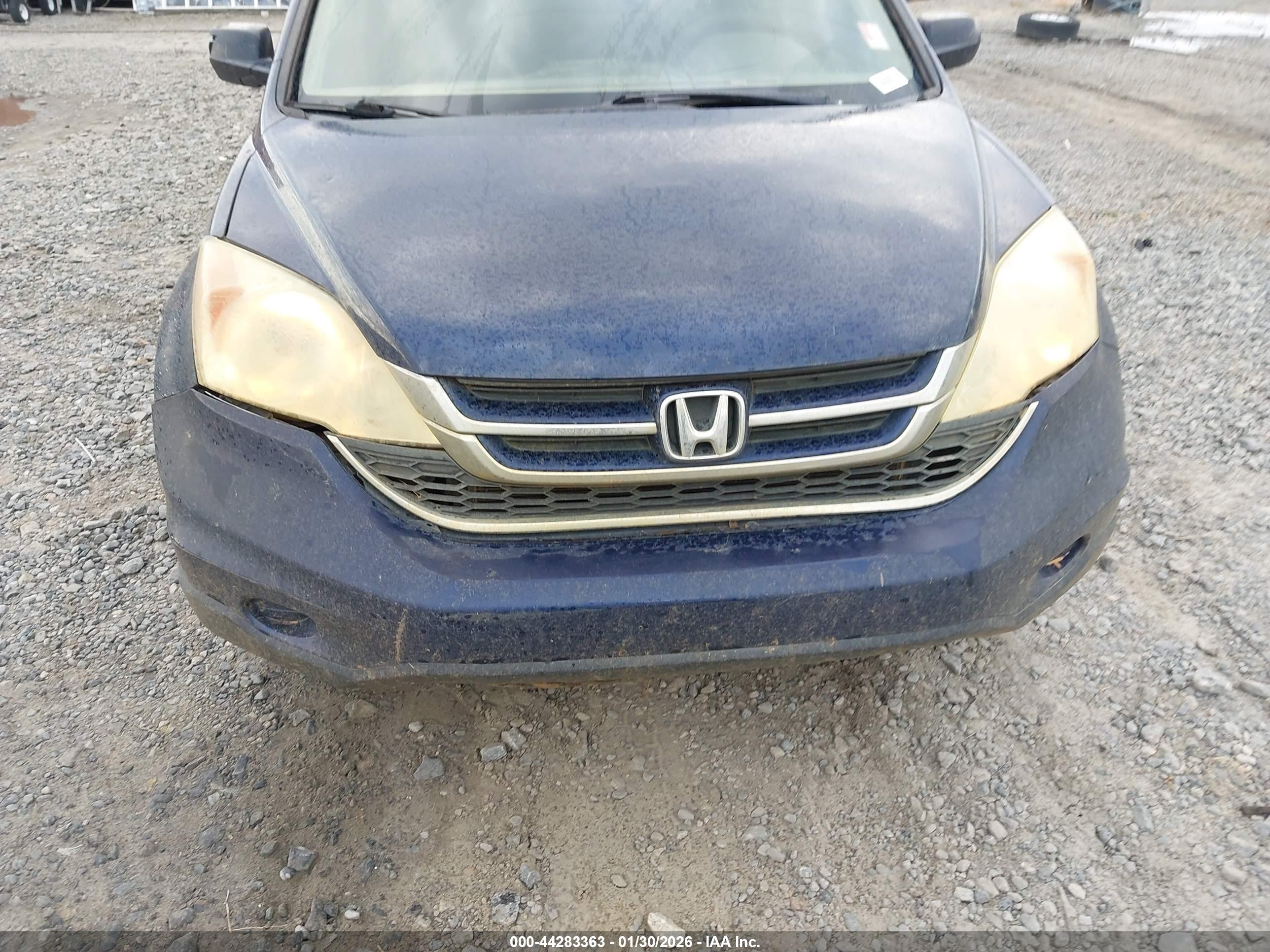 HONDA CR-V image 6