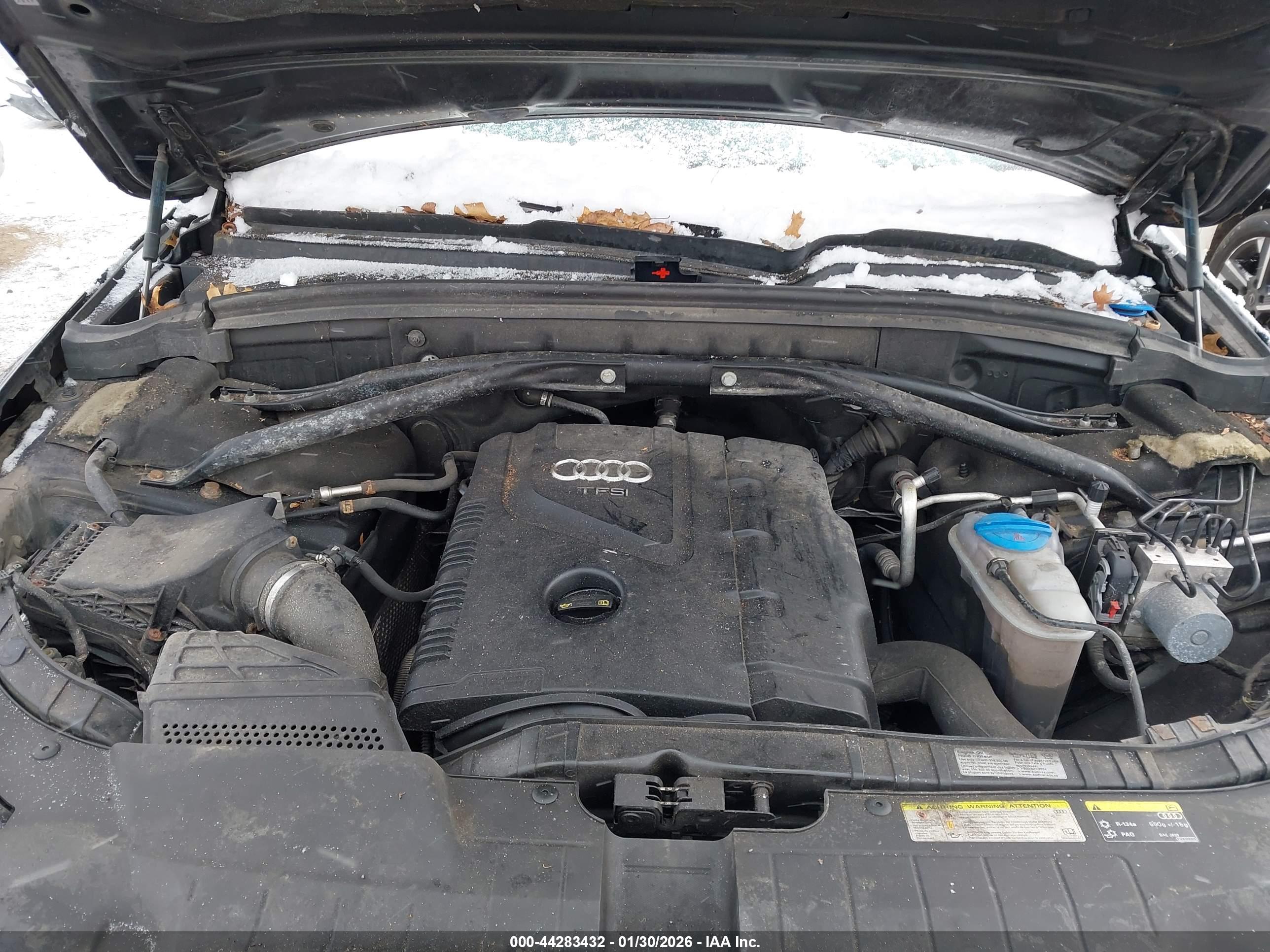AUDI Q5 image 10