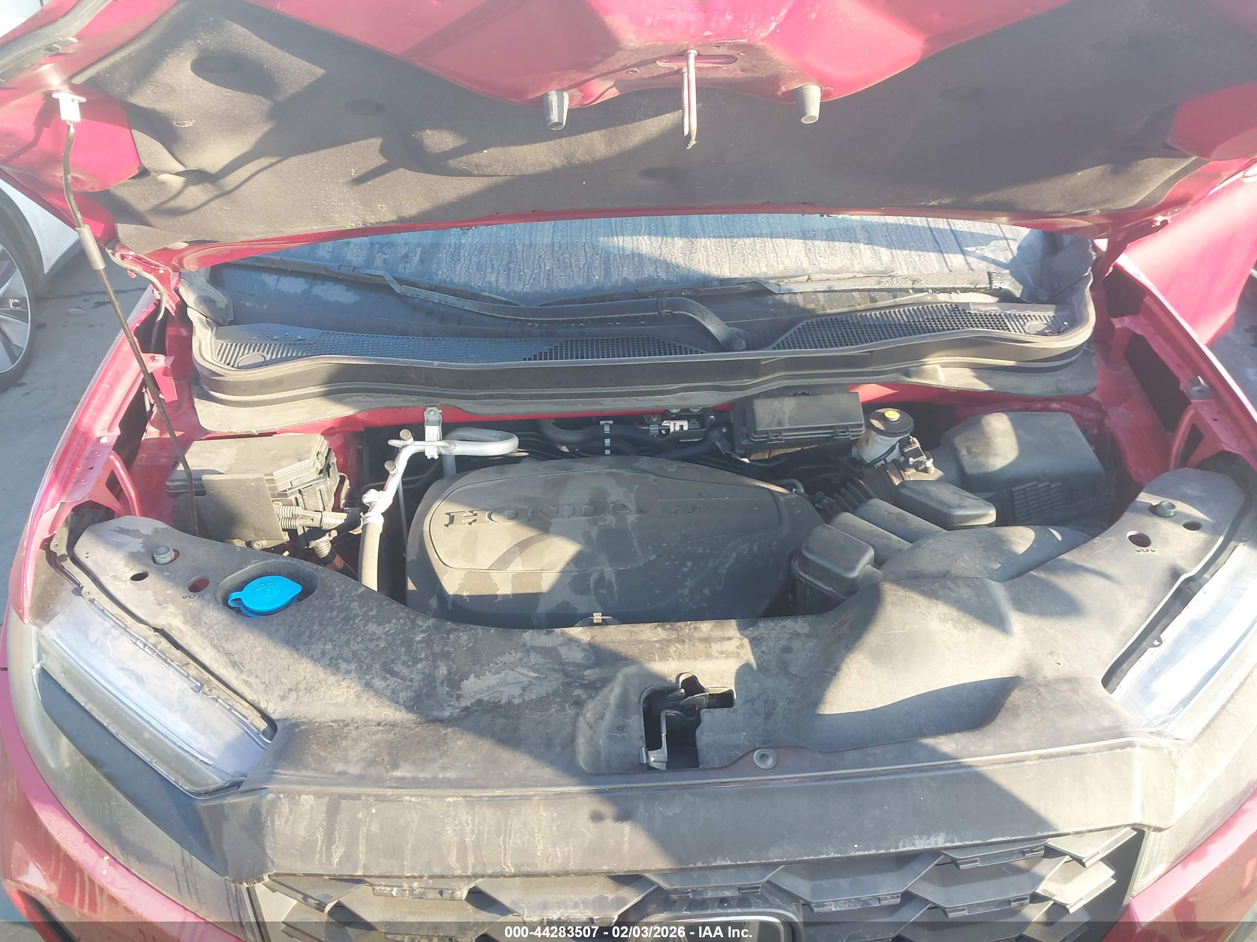 HONDA PASSPORT image 10