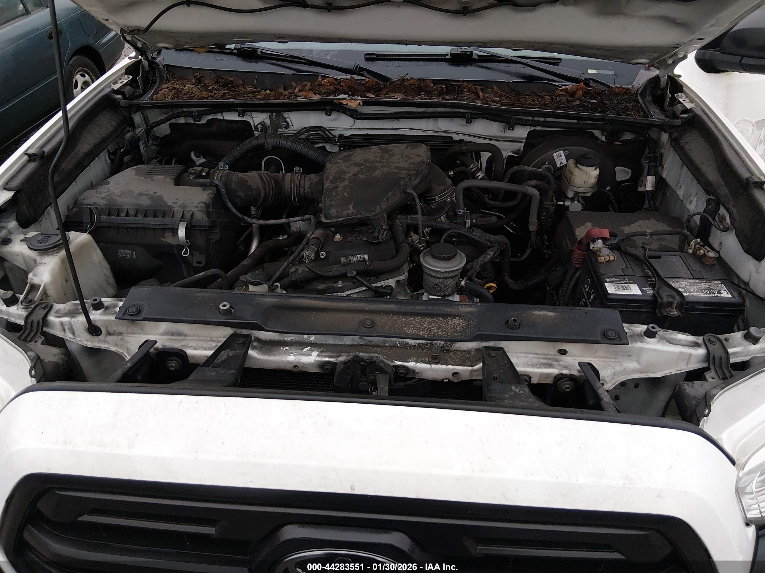 TOYOTA TACOMA image 10