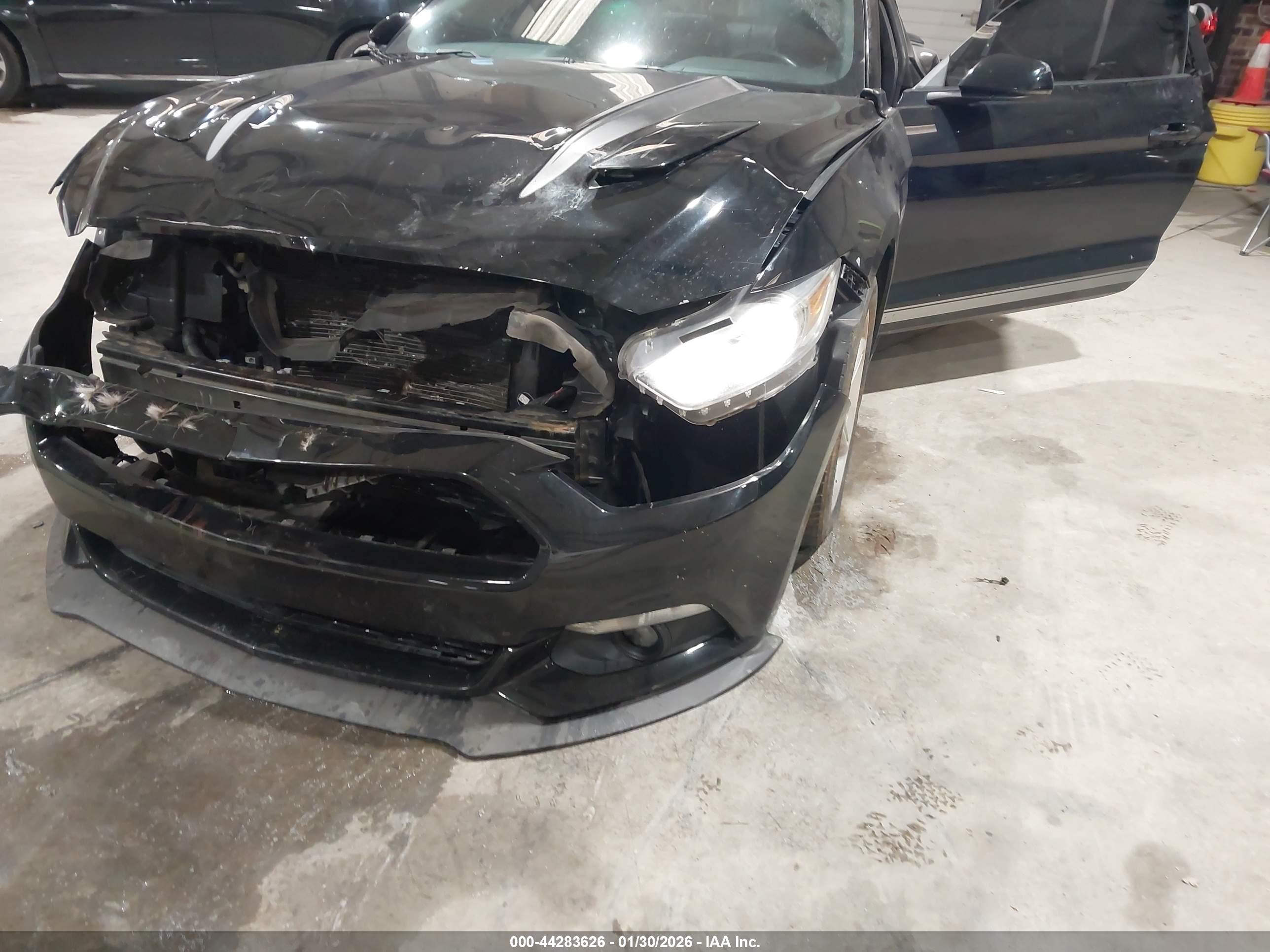 FORD MUSTANG image 6