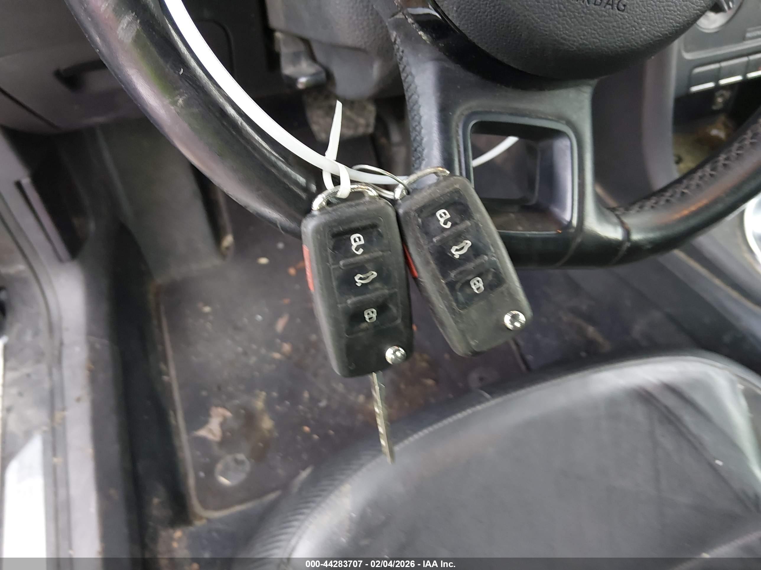 VOLKSWAGEN BEETLE image 11