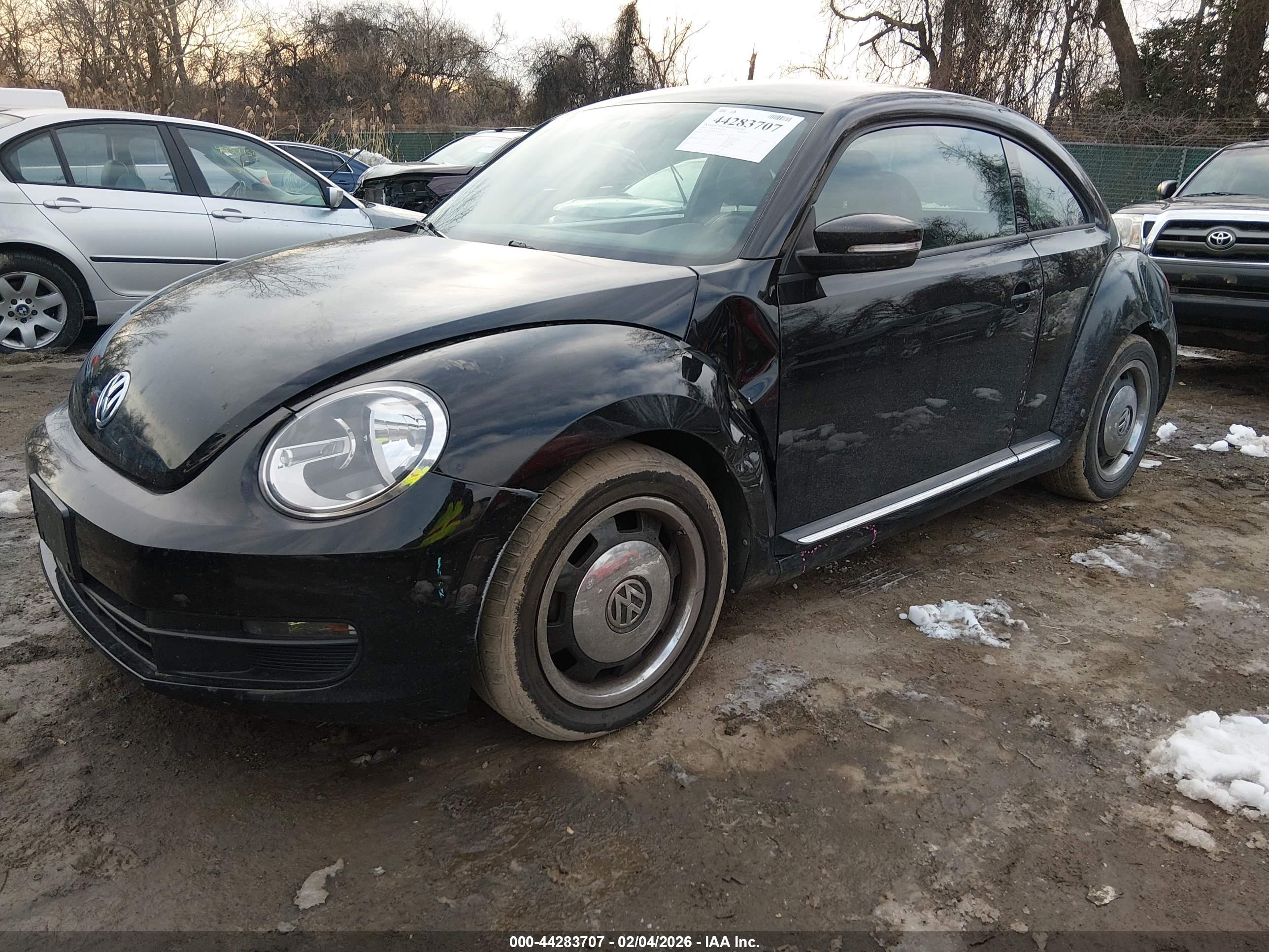 VOLKSWAGEN BEETLE image 2