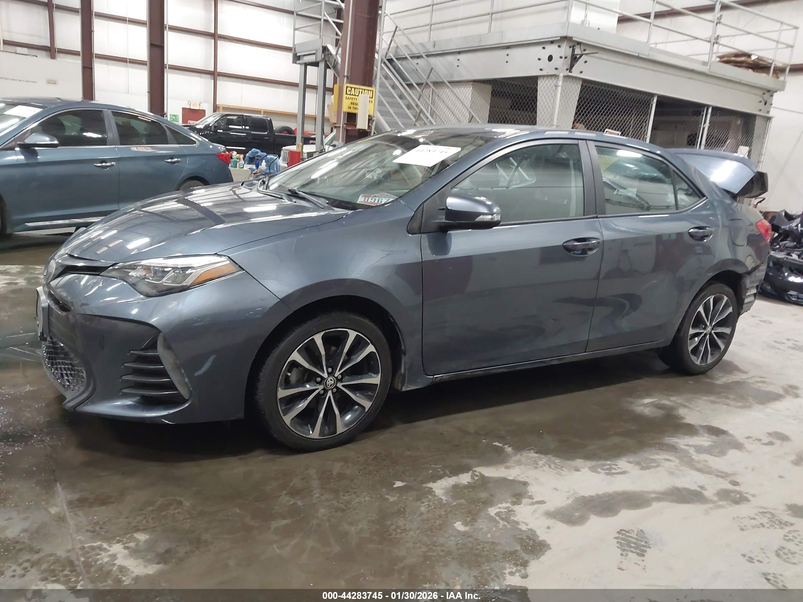 TOYOTA COROLLA image 2