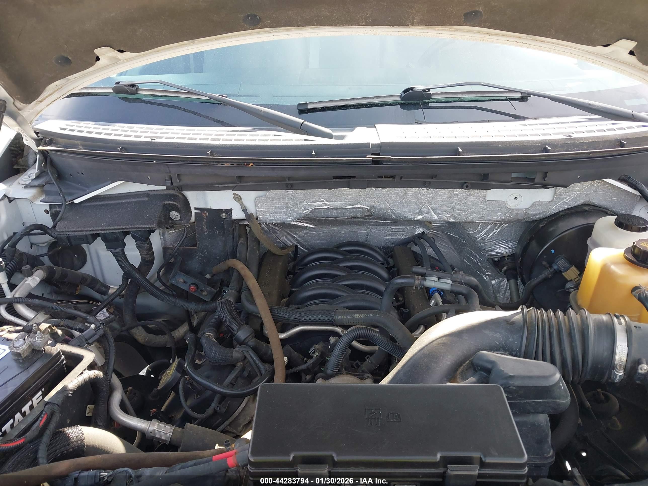 FORD F-150 image 10
