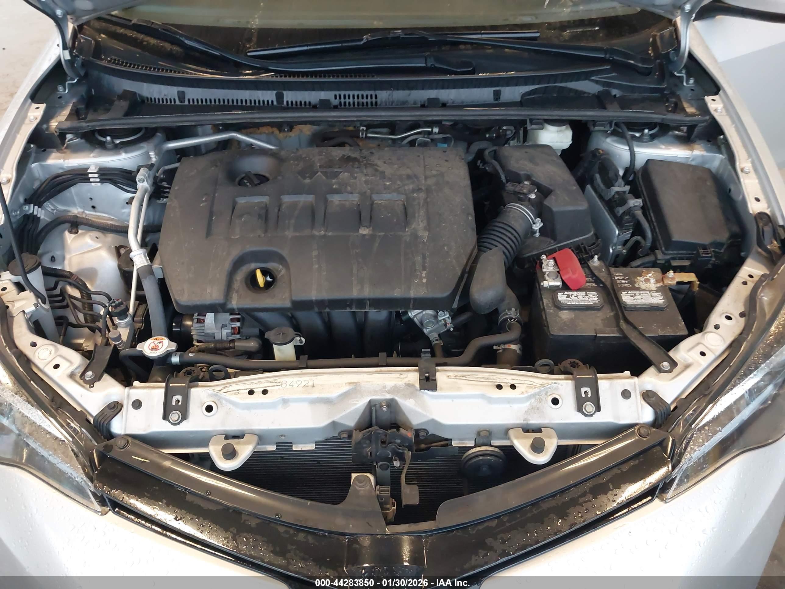 TOYOTA COROLLA image 10