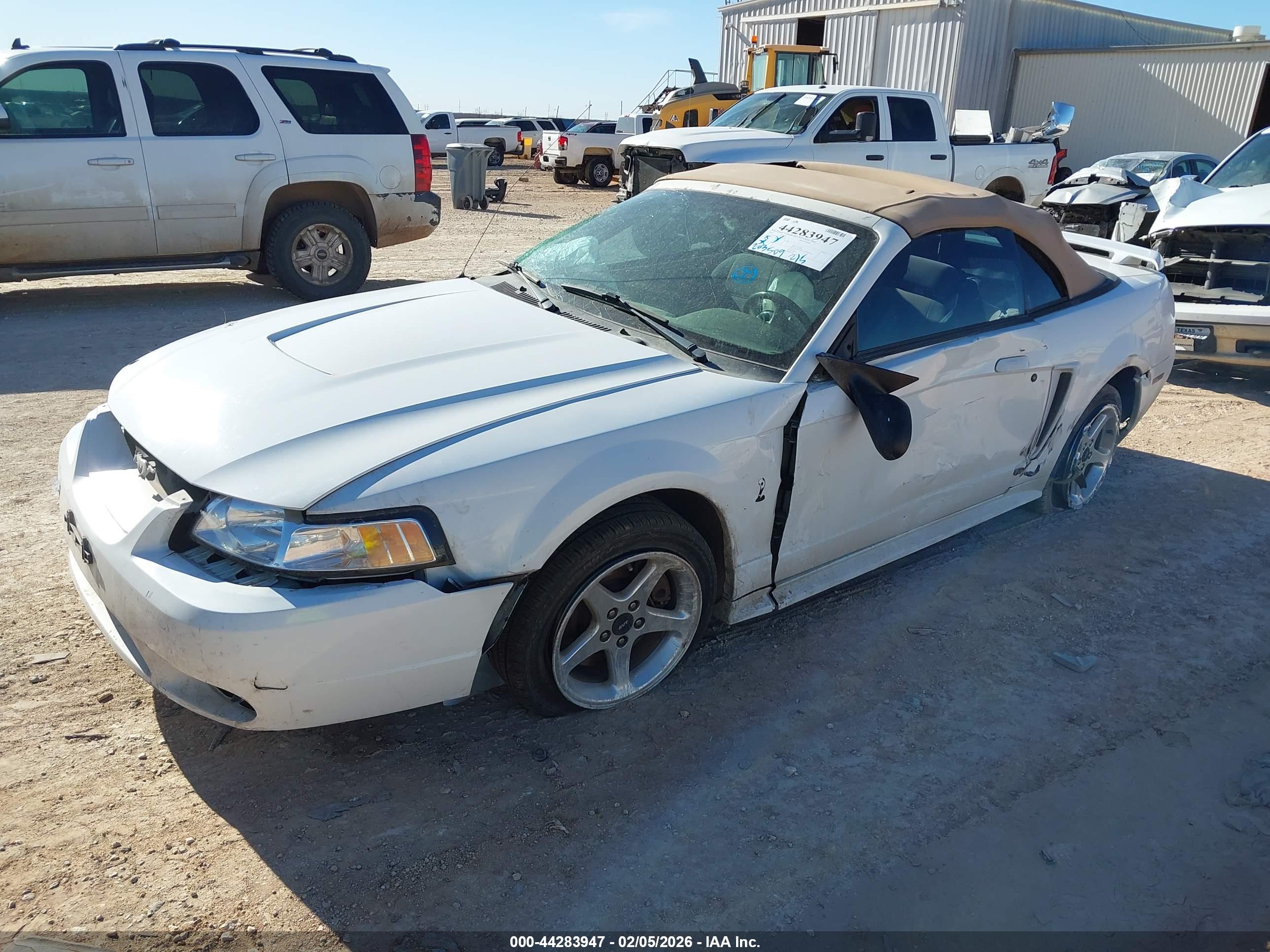FORD MUSTANG image 2