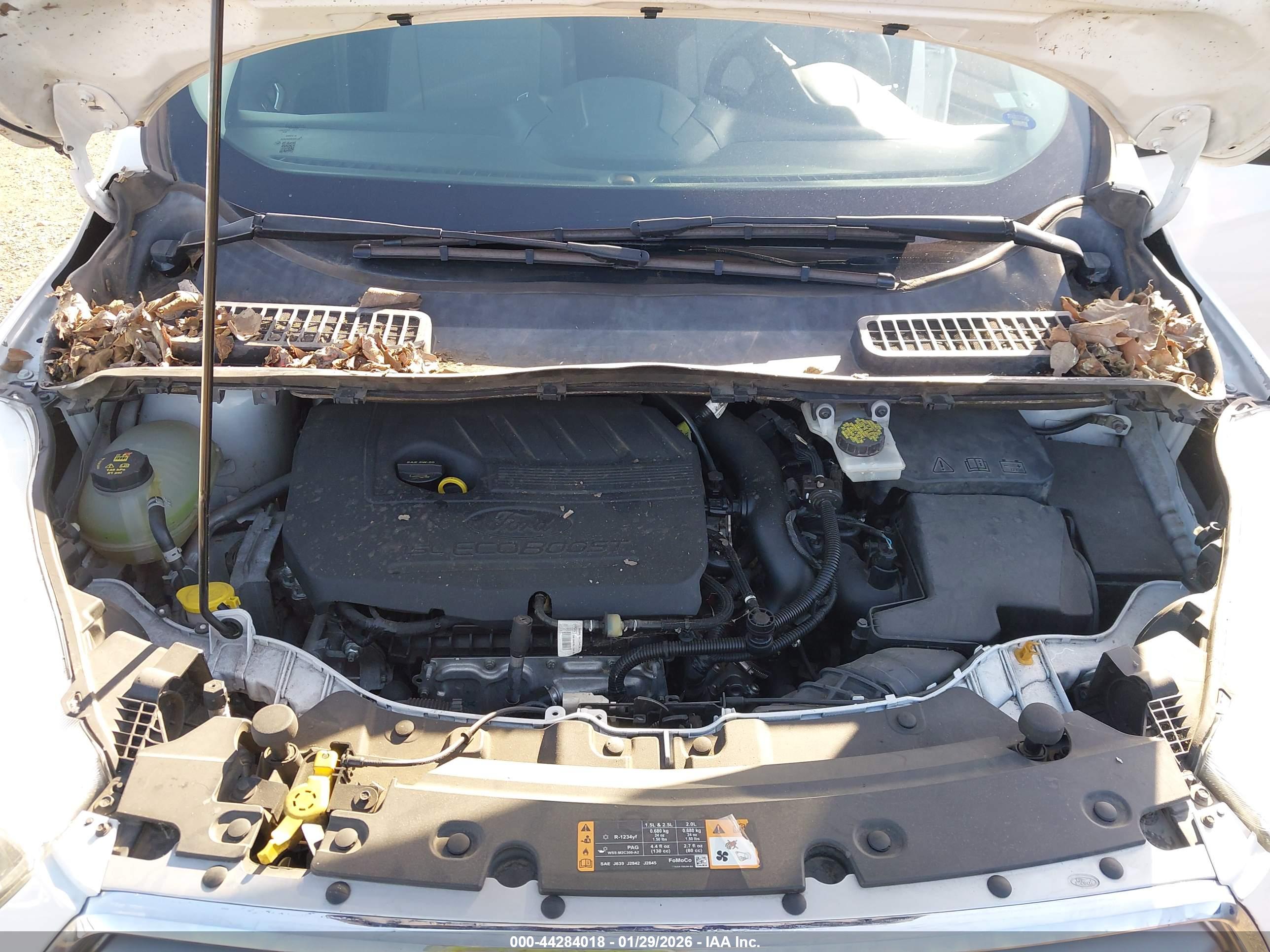 FORD ESCAPE image 10