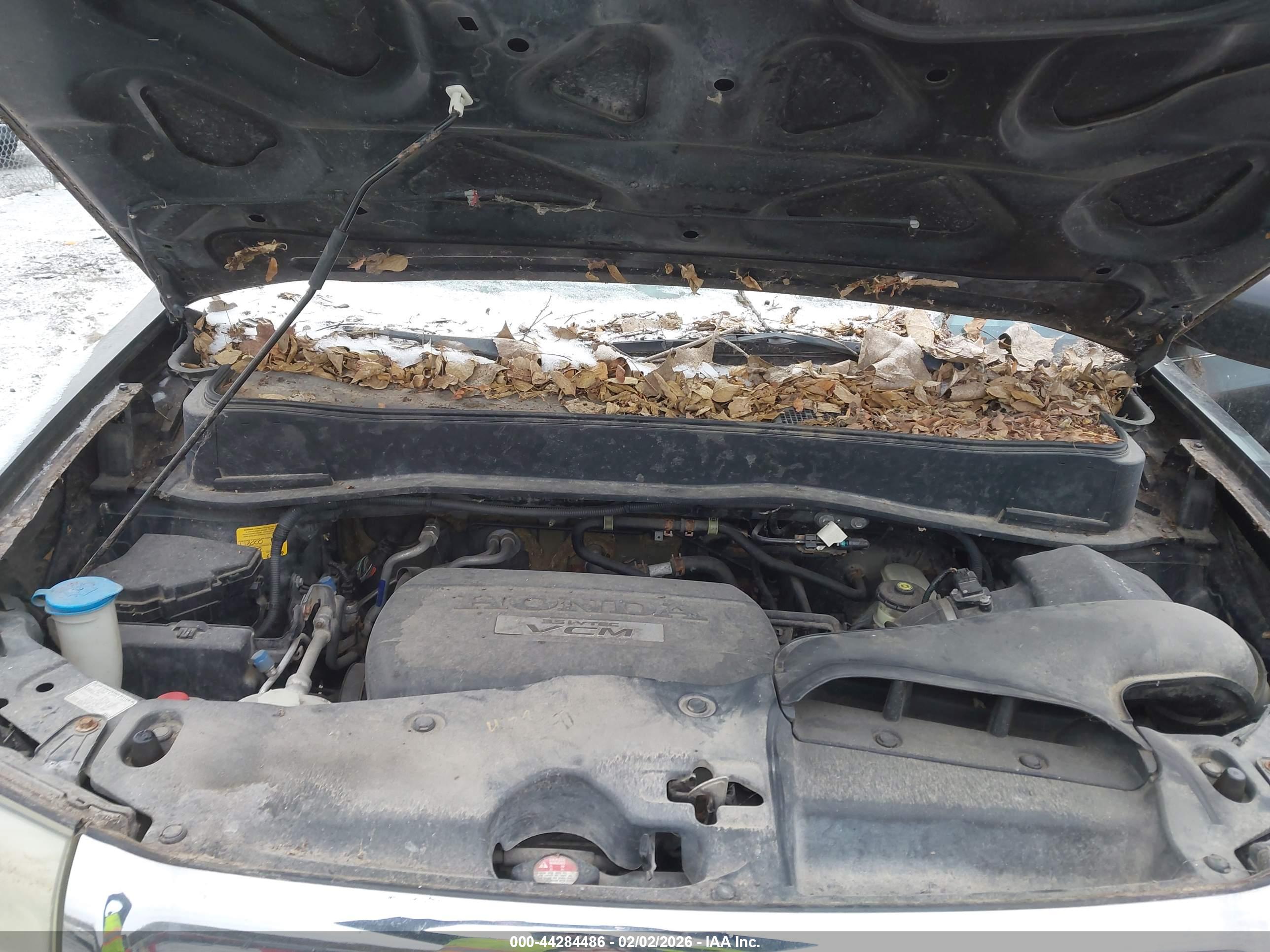 HONDA PILOT image 10