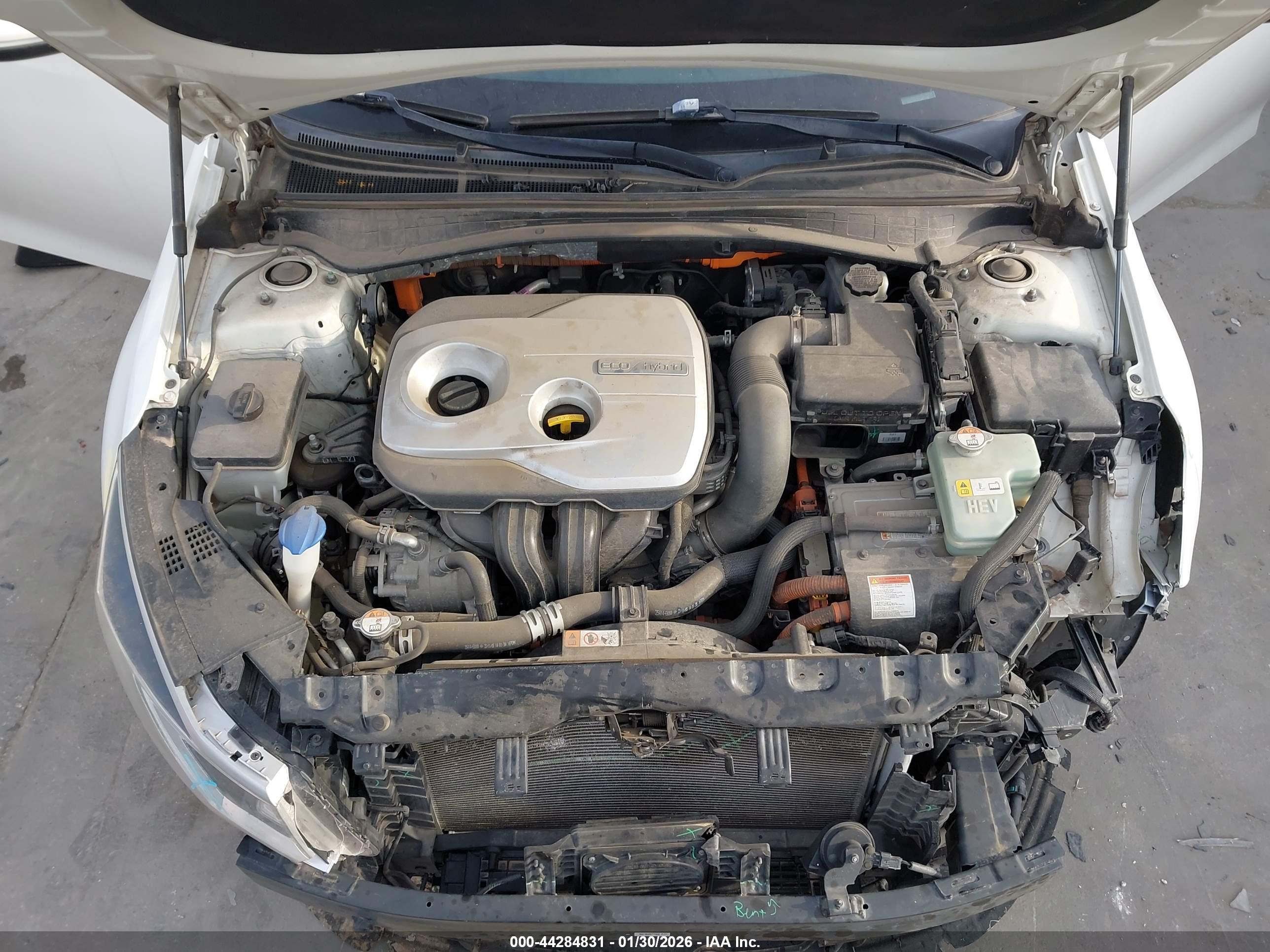 KIA OPTIMA image 10