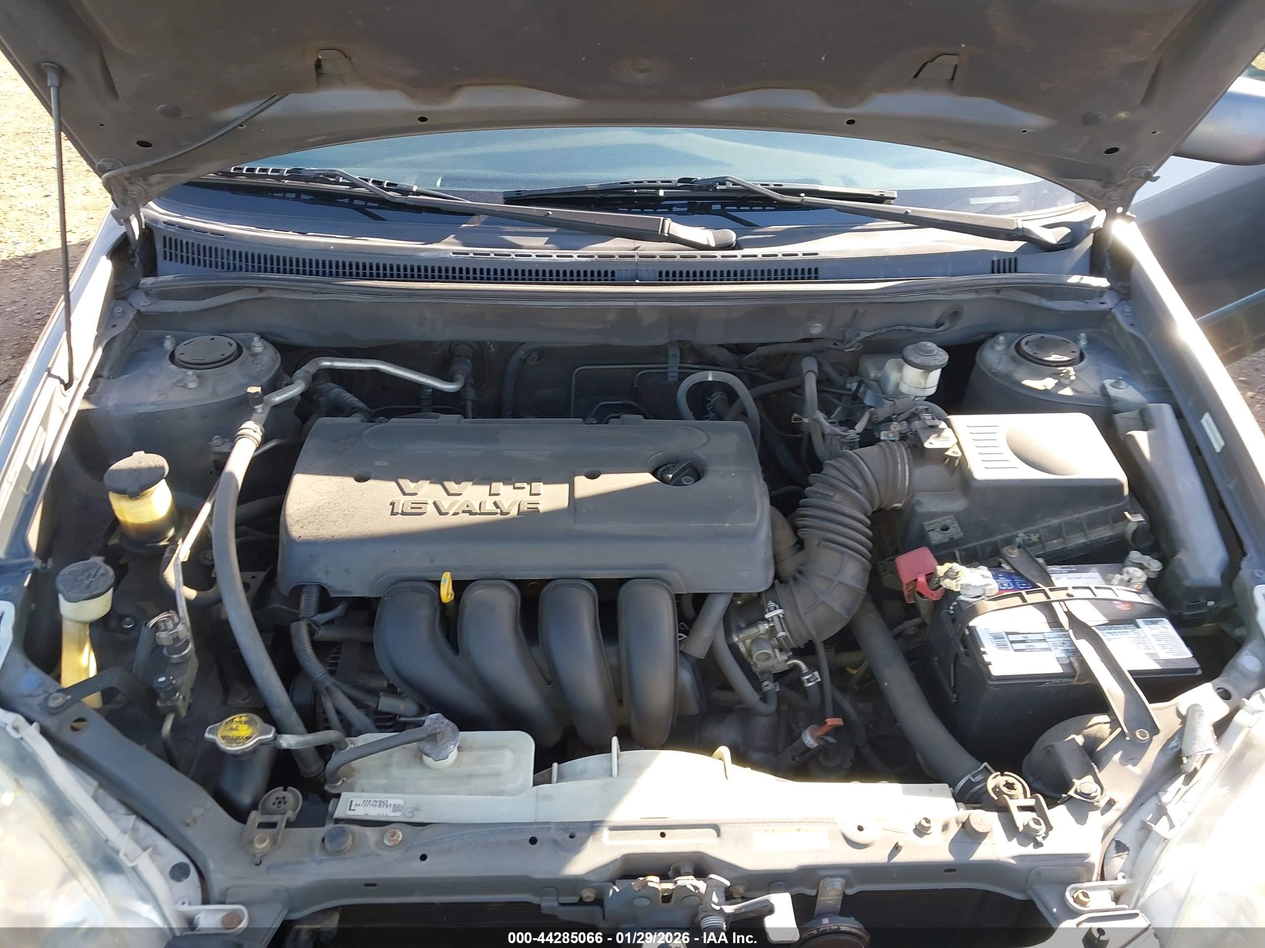 TOYOTA COROLLA image 10