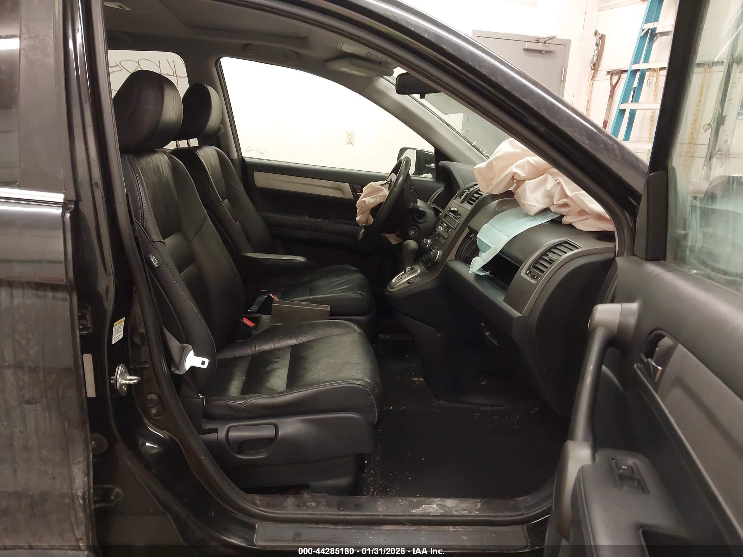 HONDA CR-V image 5