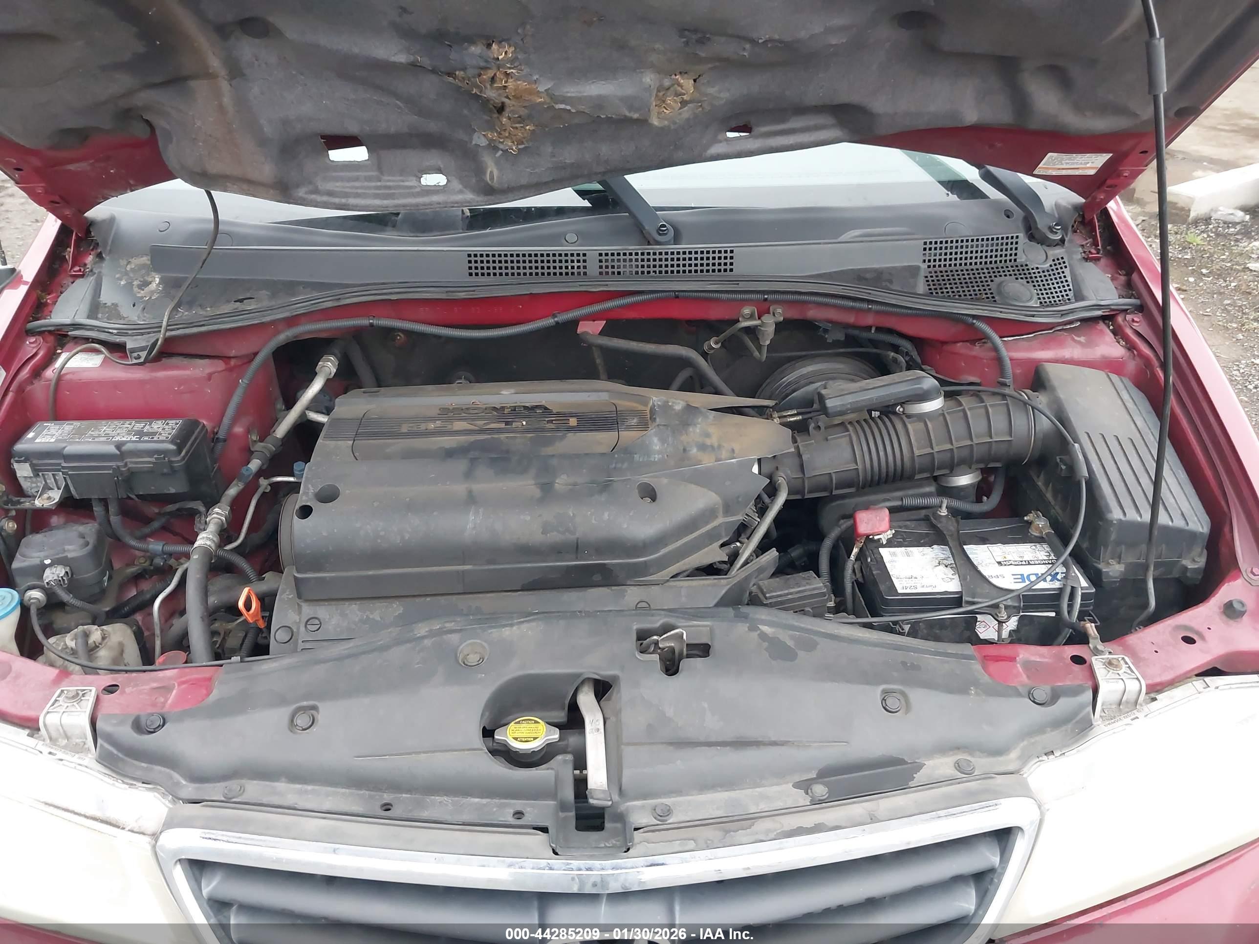 HONDA ODYSSEY image 10