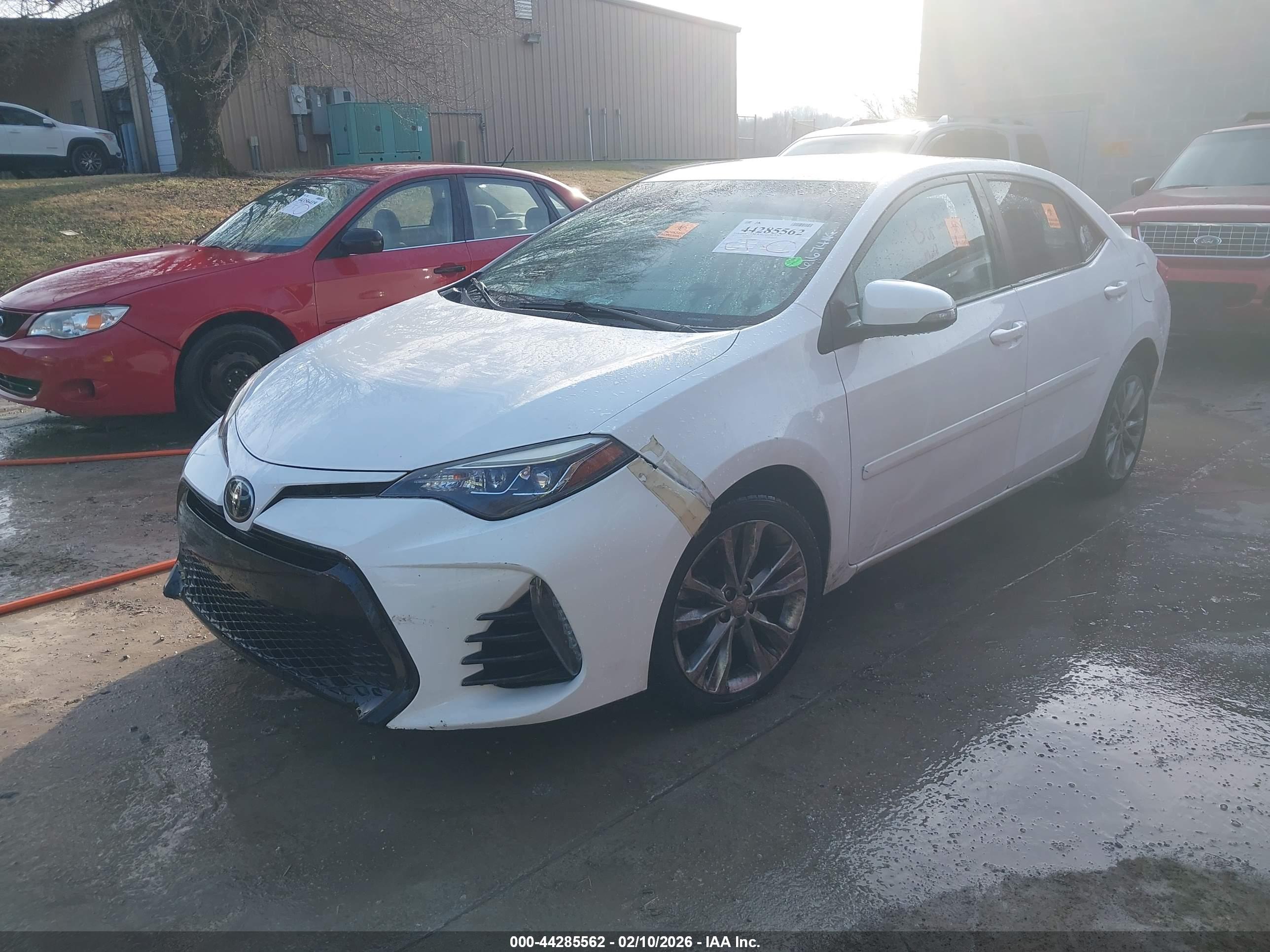 TOYOTA COROLLA image 2