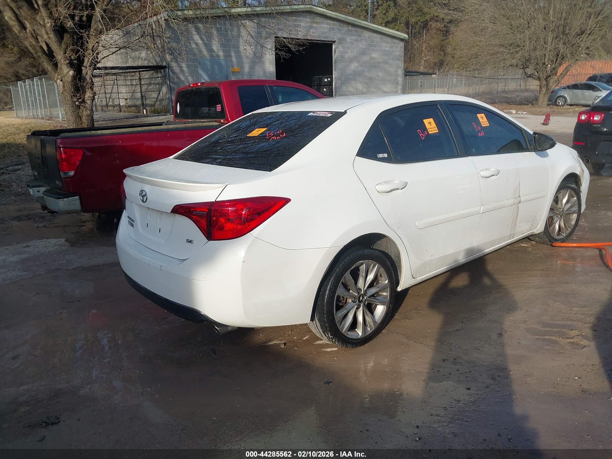 TOYOTA COROLLA image 4
