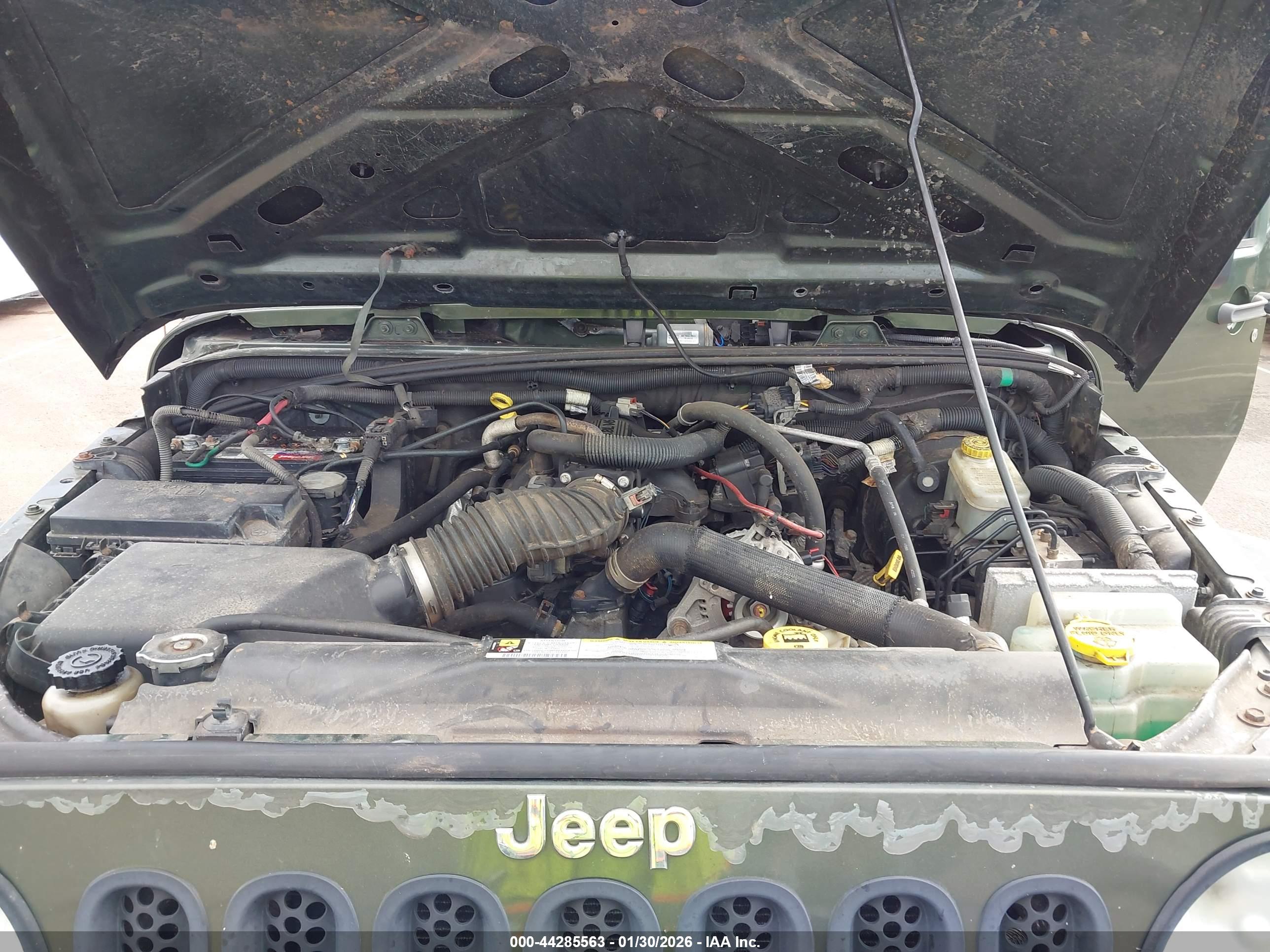 JEEP WRANGLER image 10