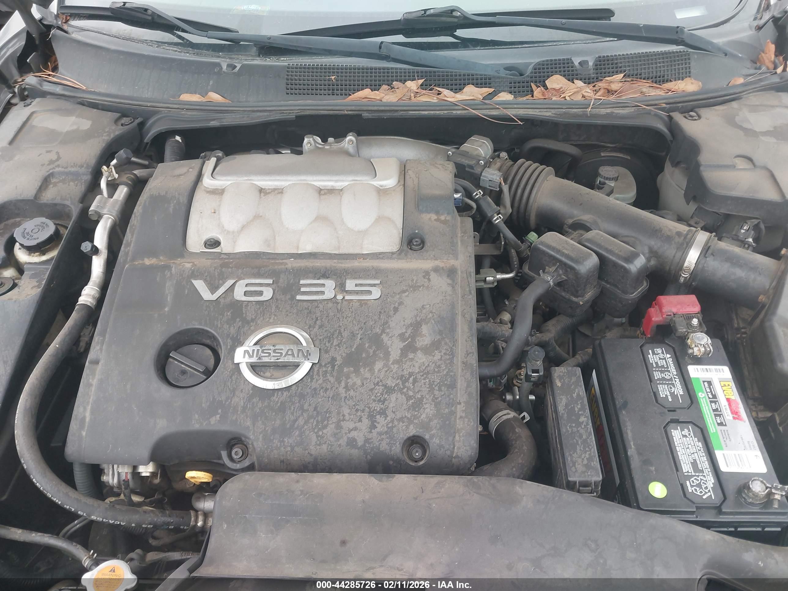 NISSAN MAXIMA image 10
