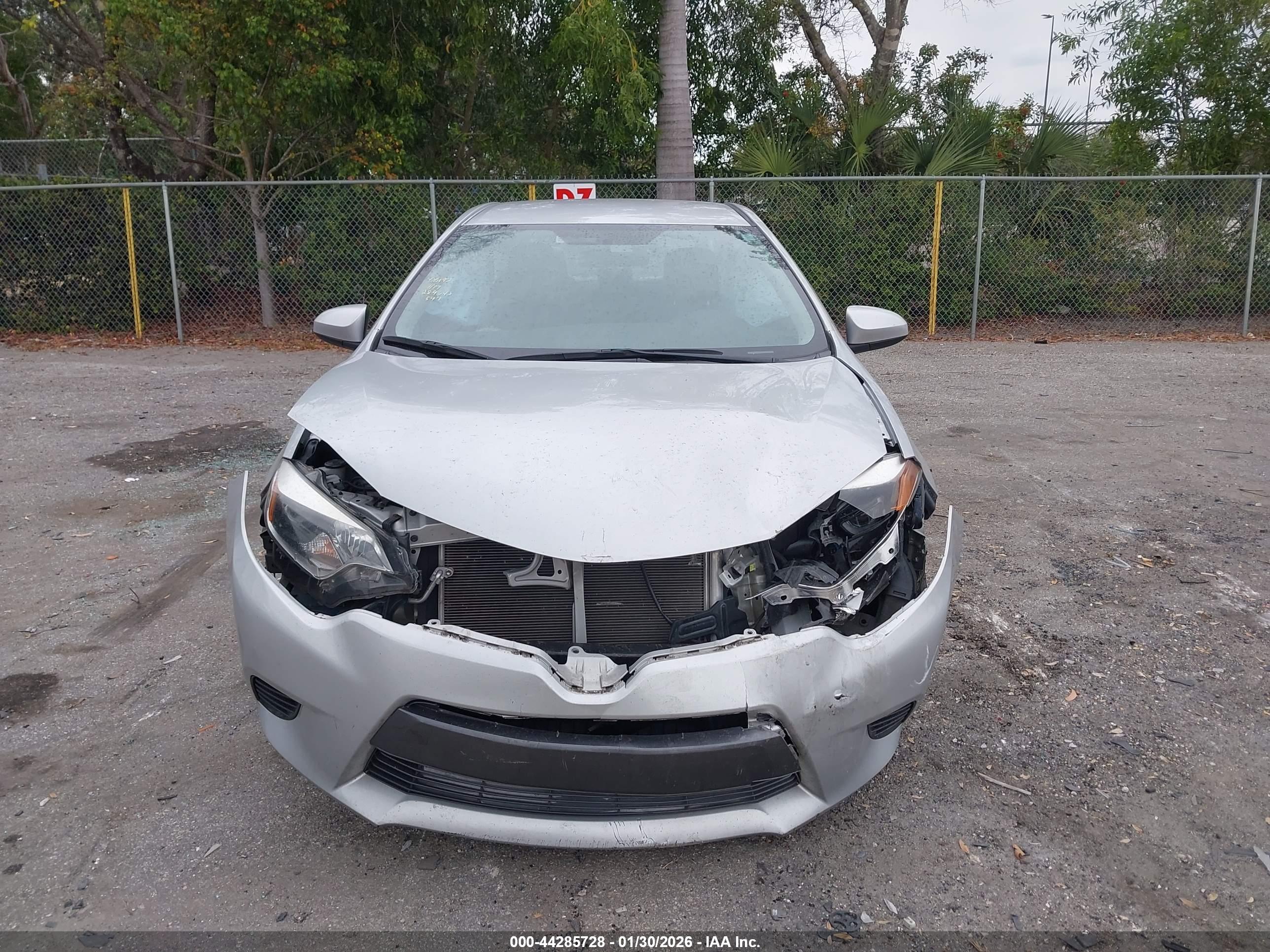 TOYOTA COROLLA image 6