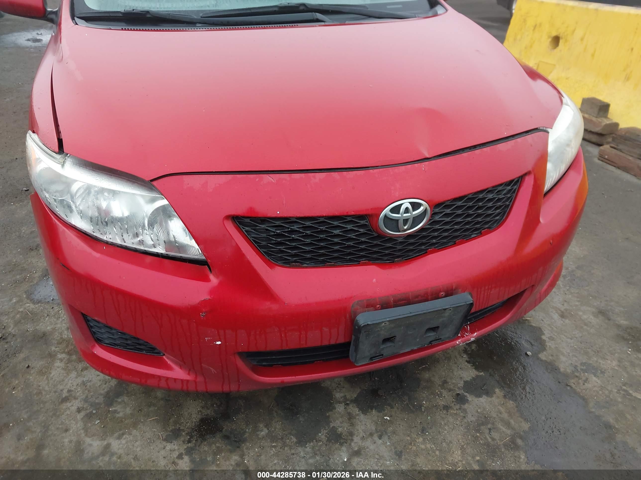 TOYOTA COROLLA image 6