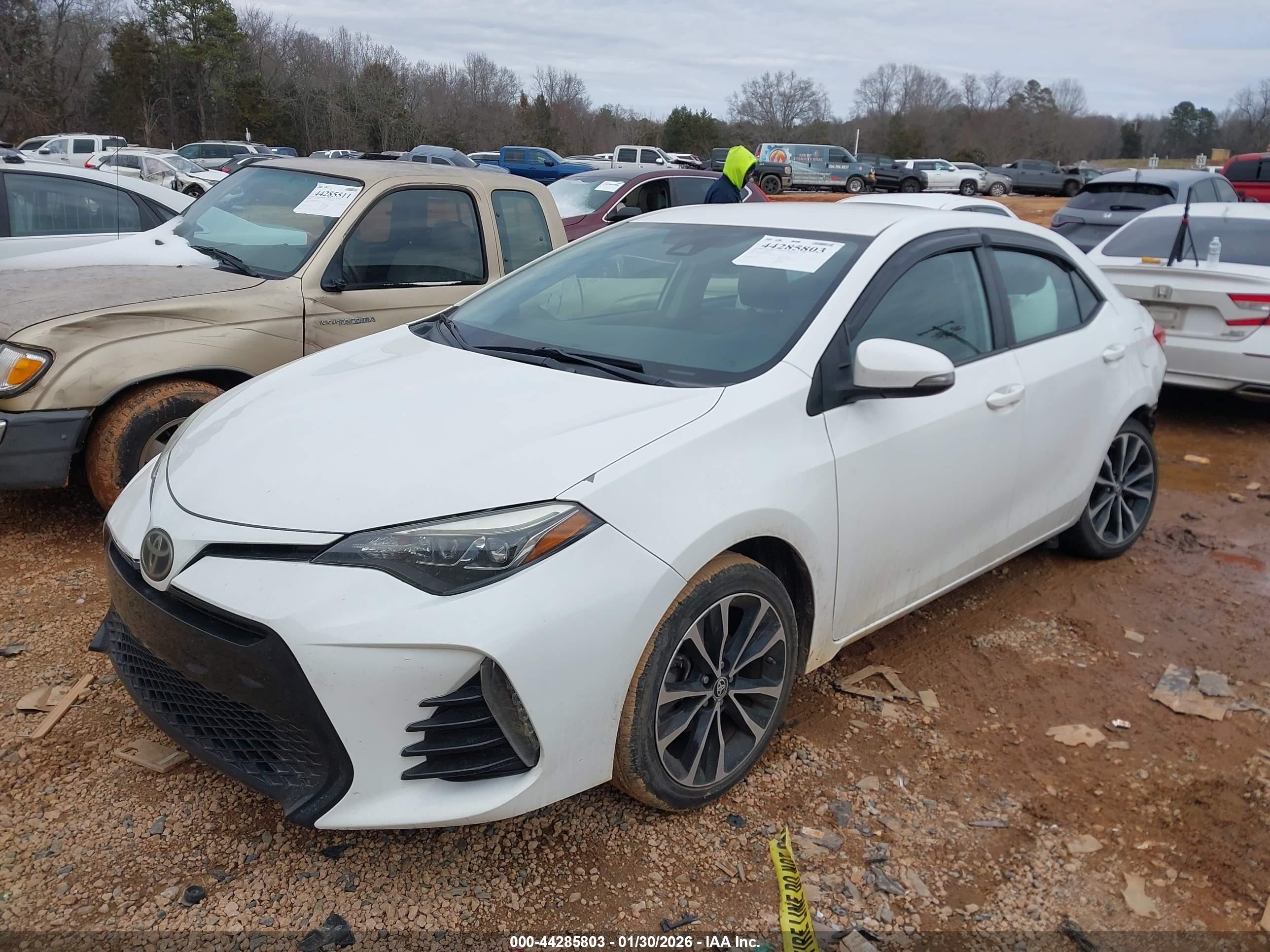 TOYOTA COROLLA image 2