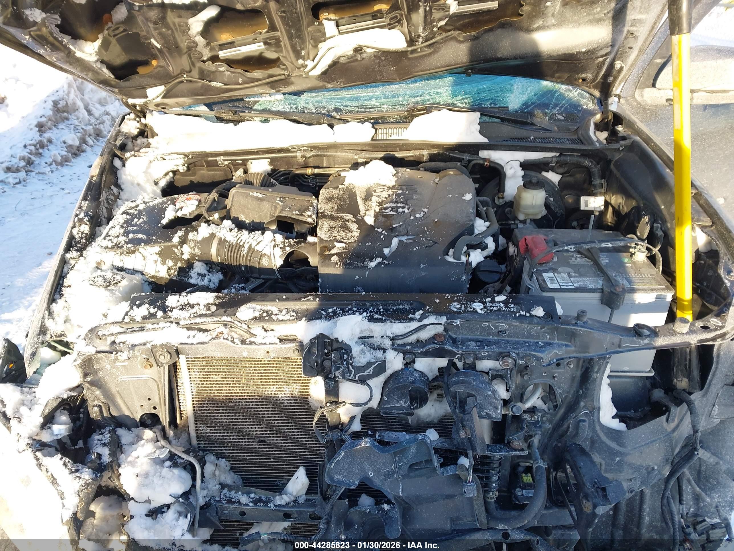 TOYOTA TACOMA image 10