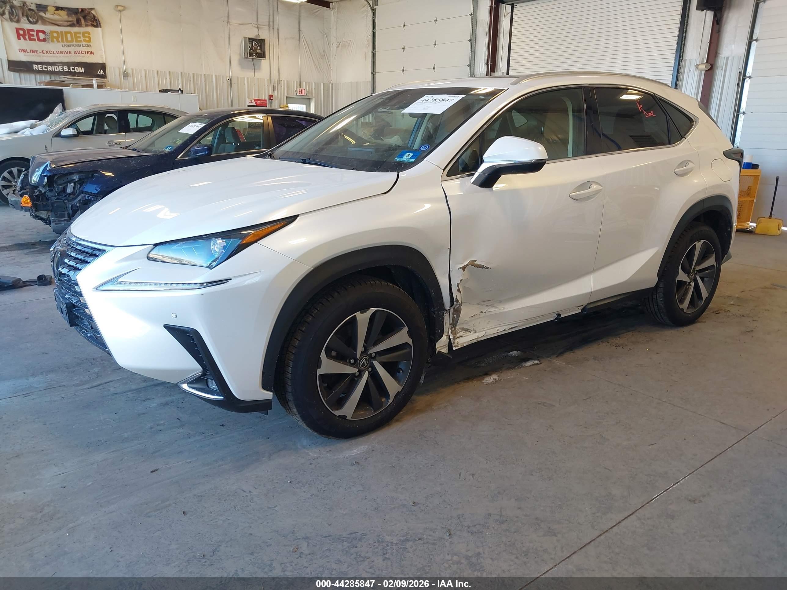 LEXUS NX image 2