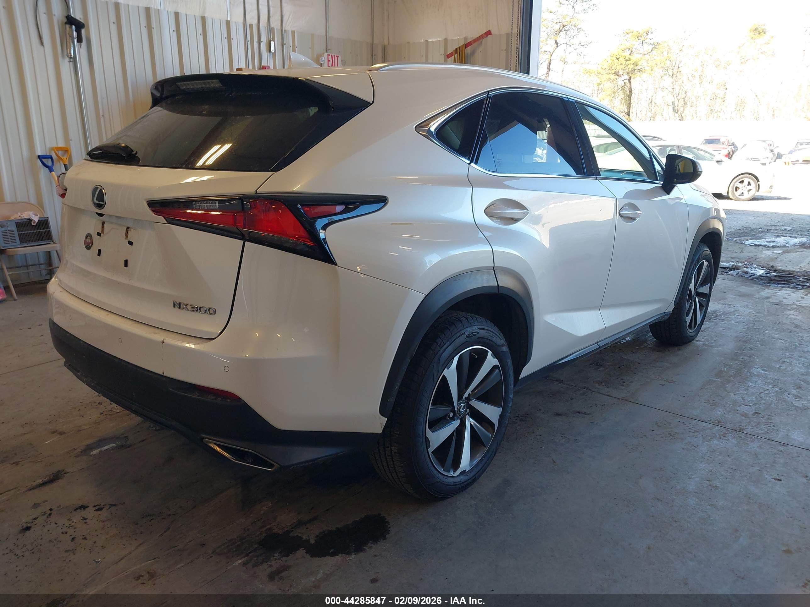 LEXUS NX image 4