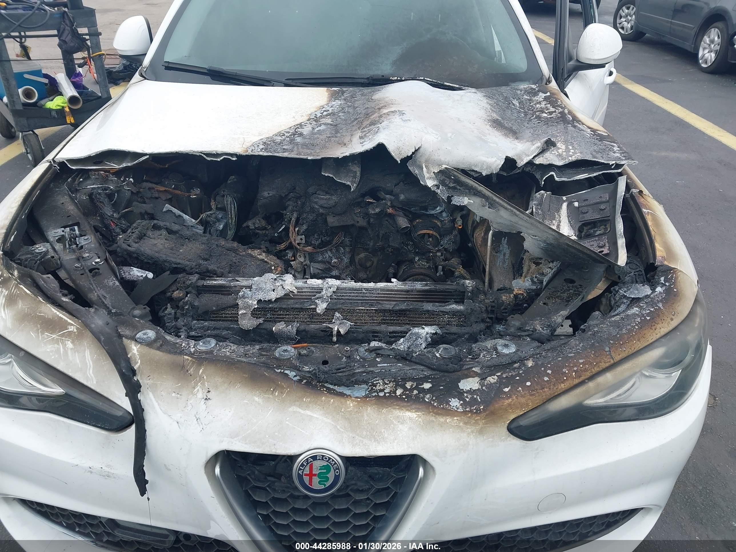 ALFA ROMEO image 6