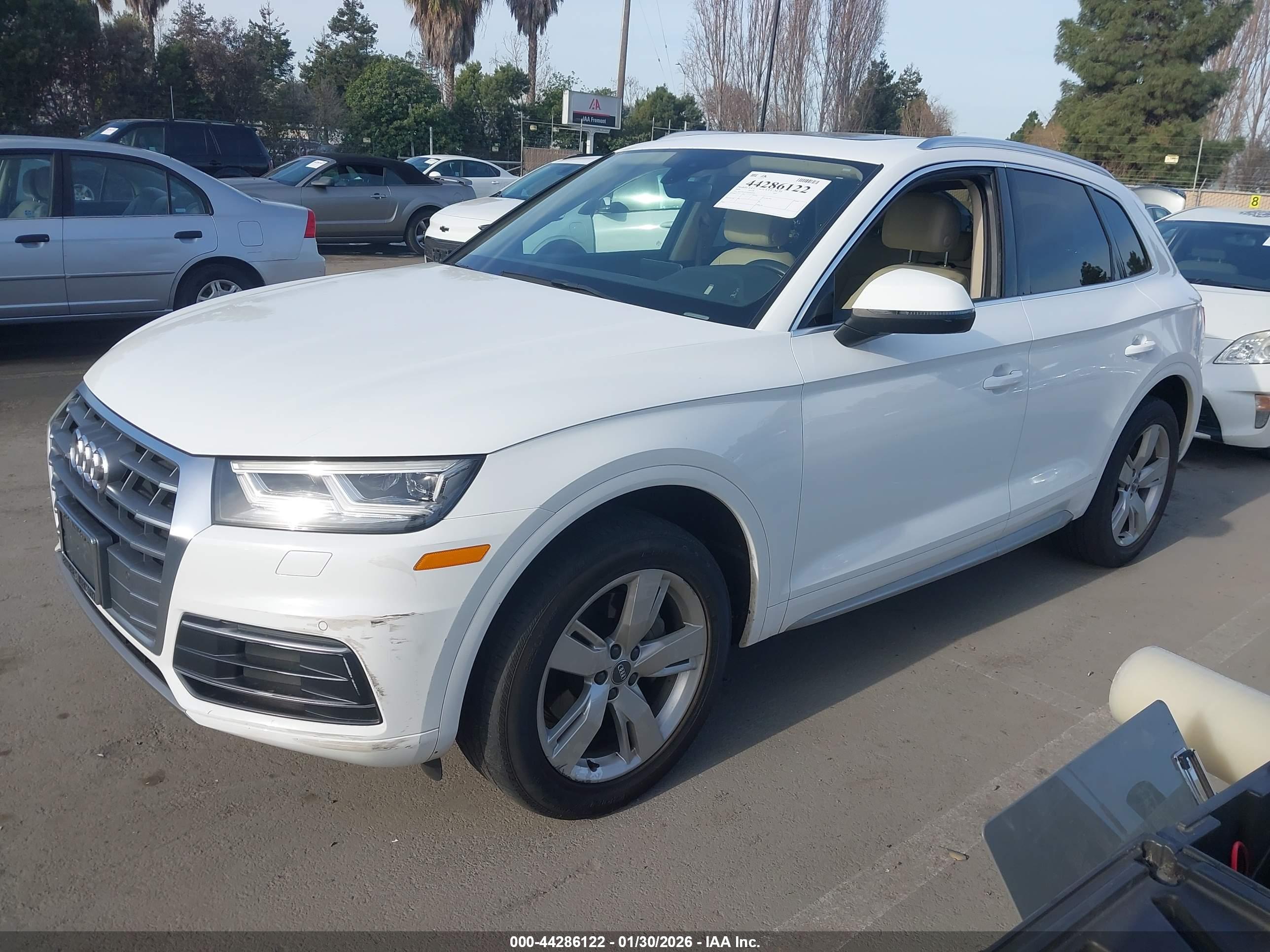 AUDI Q5 image 2