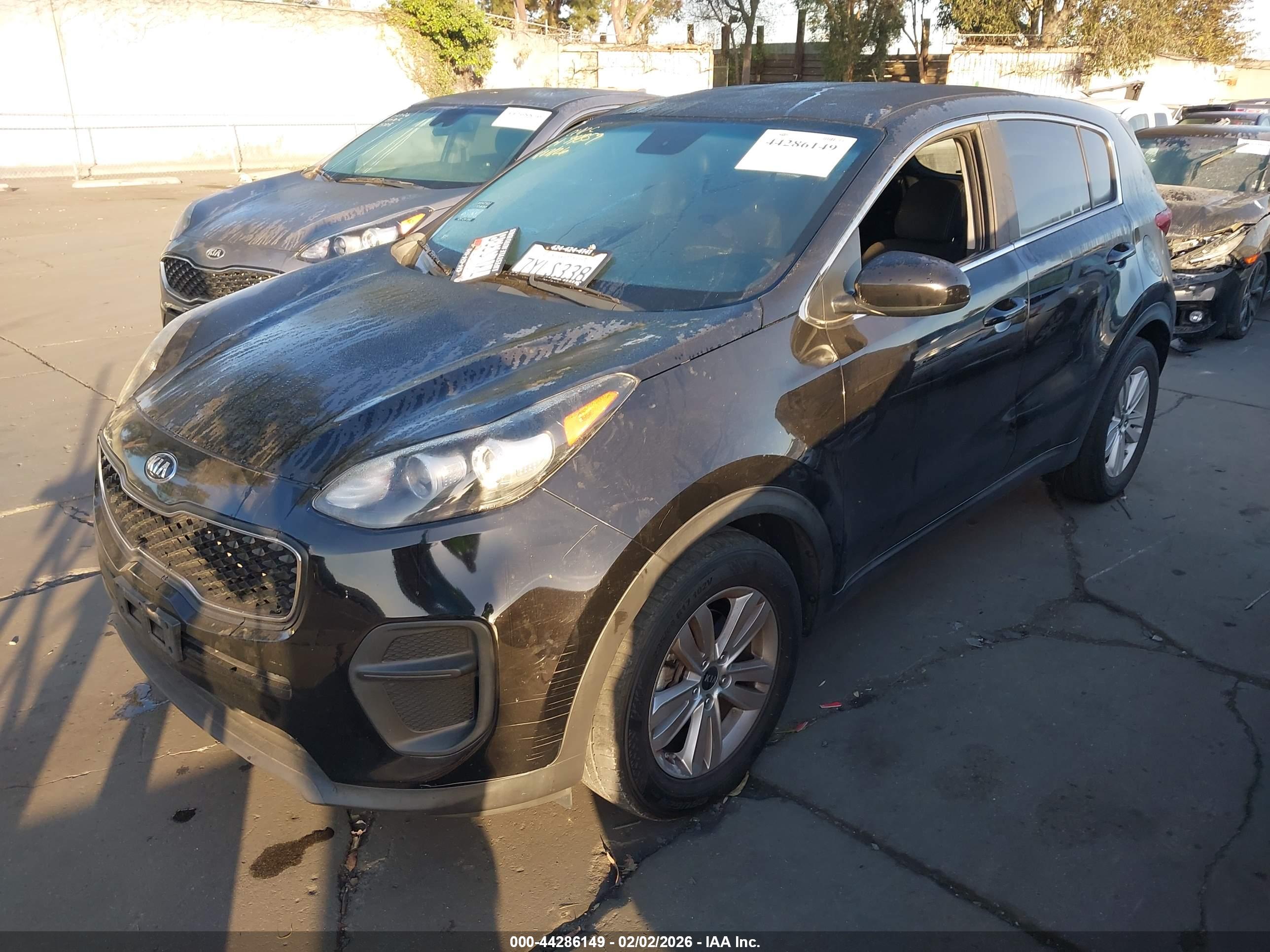 KIA SPORTAGE image 2
