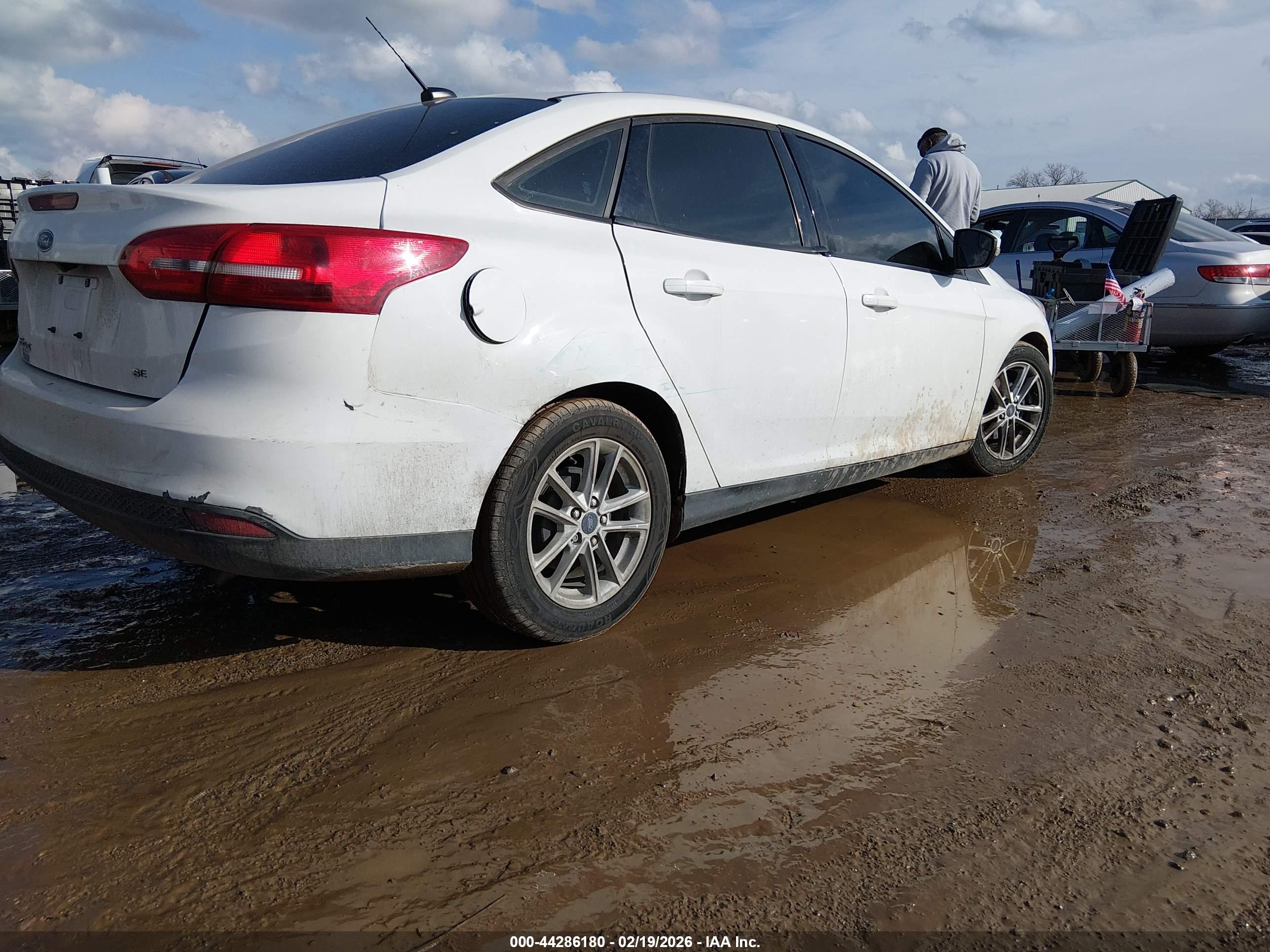 FORD FOCUS image 4