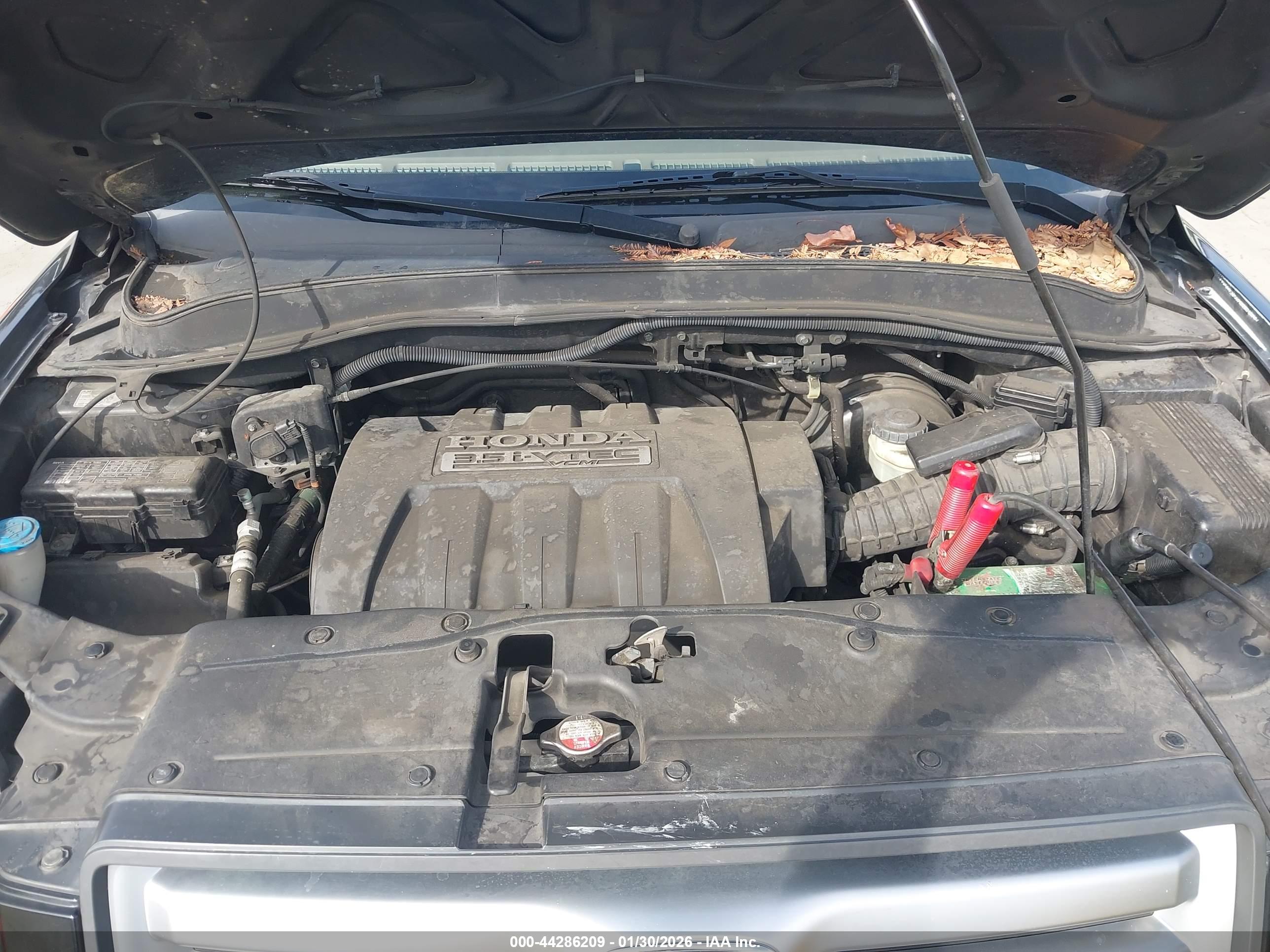 HONDA PILOT image 10