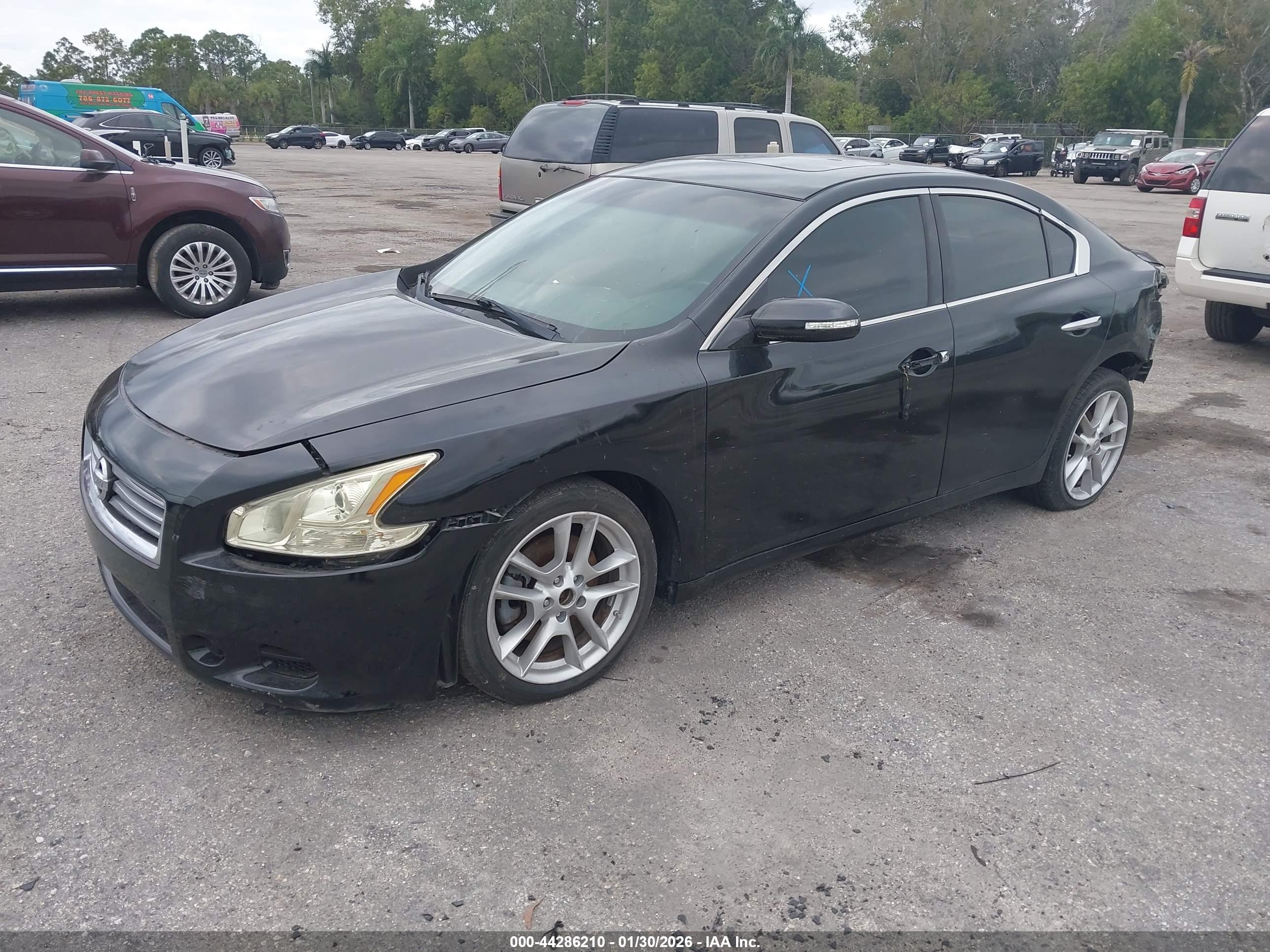 NISSAN MAXIMA image 2