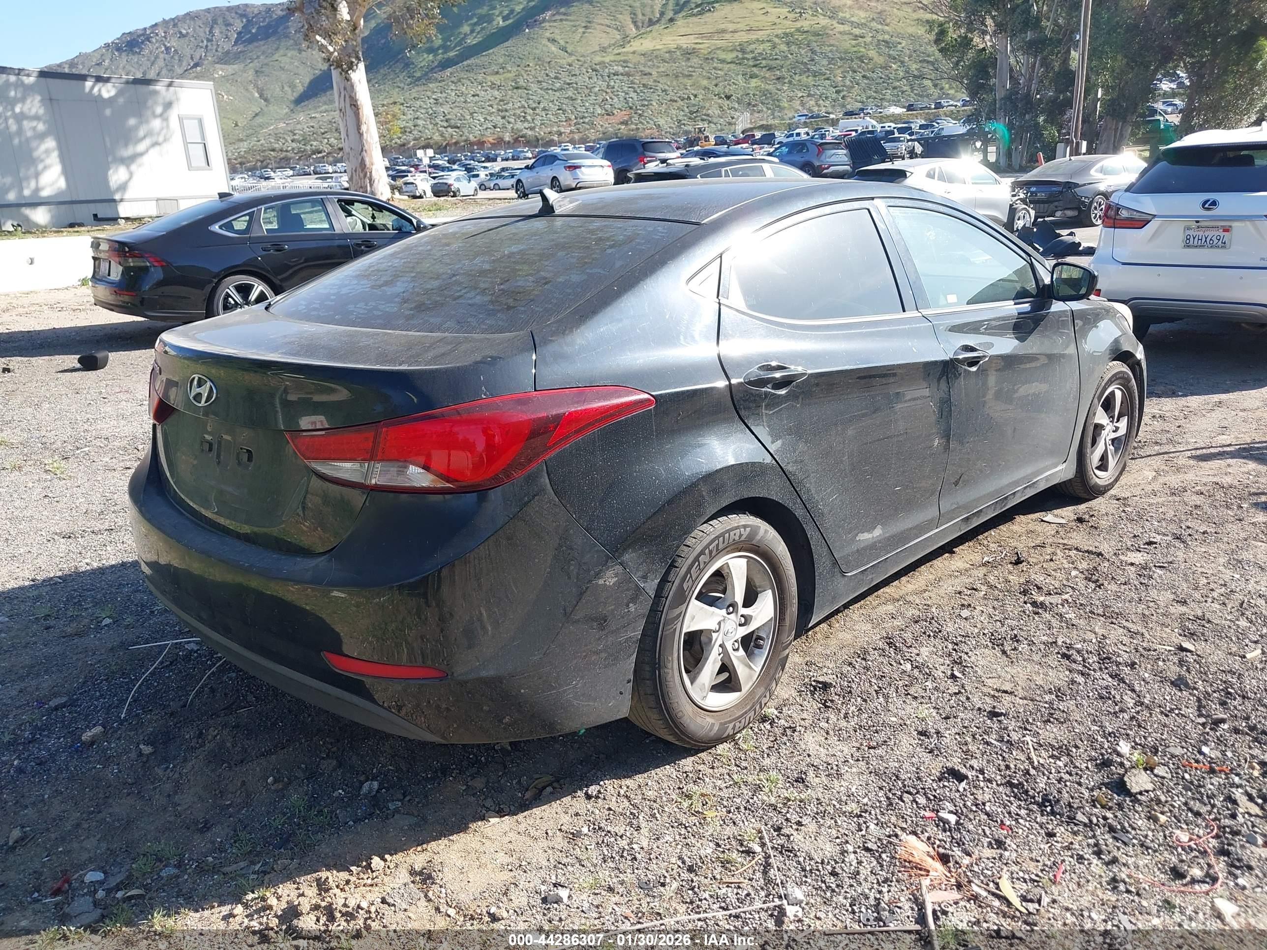 HYUNDAI ELANTRA image 4
