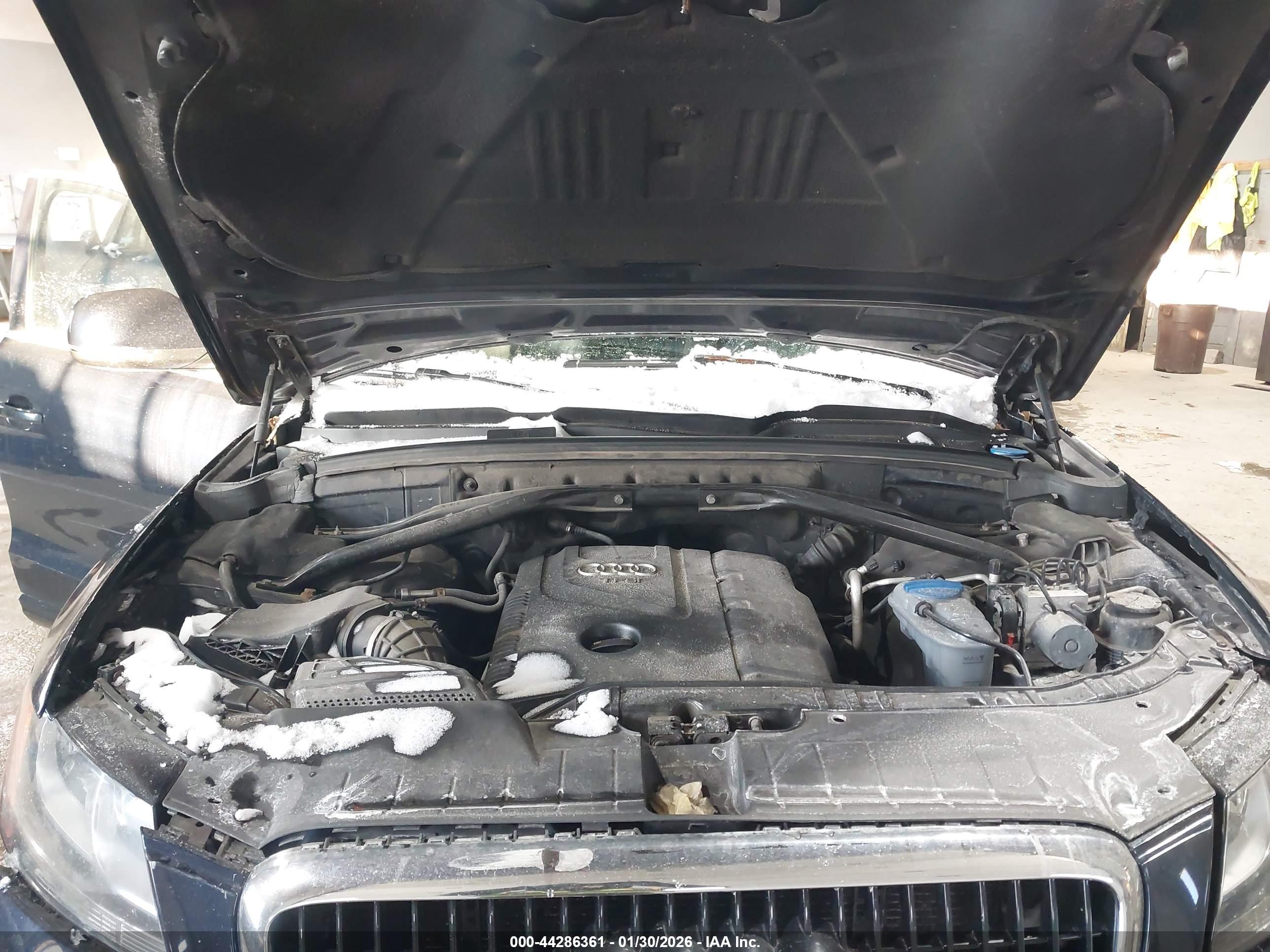 AUDI Q5 image 10