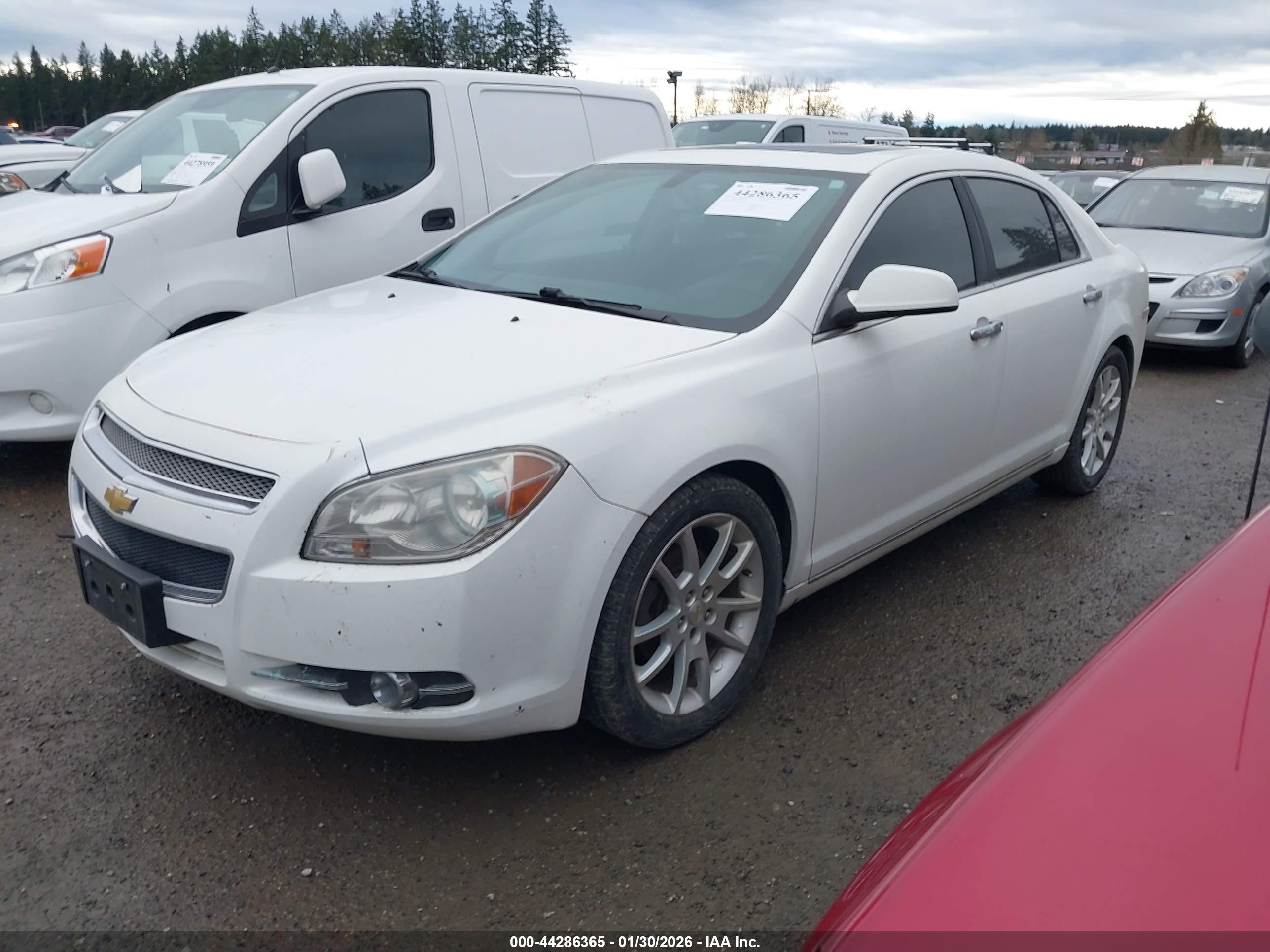 CHEVROLET MALIBU image 2